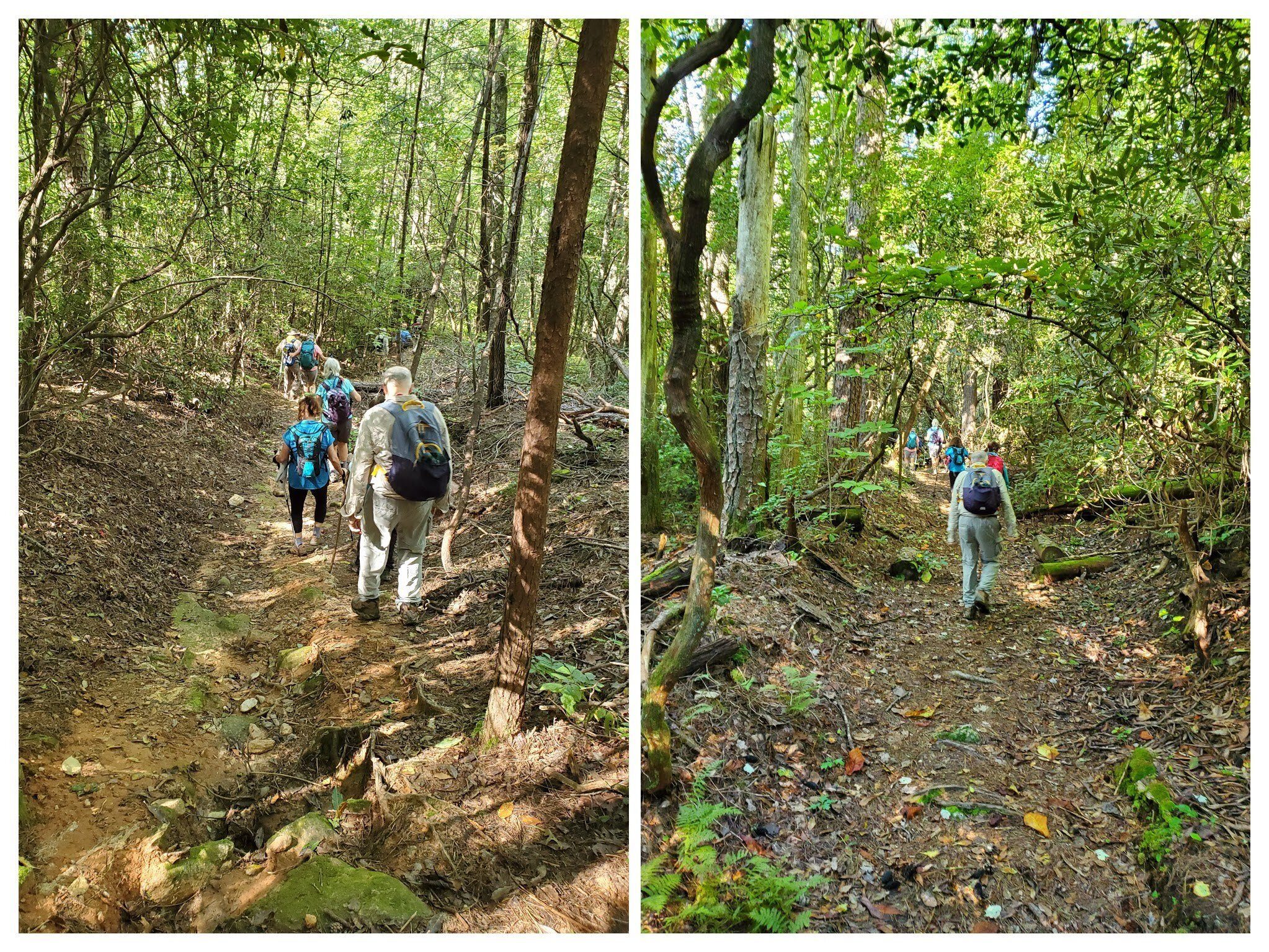 Nice trails for the most part.