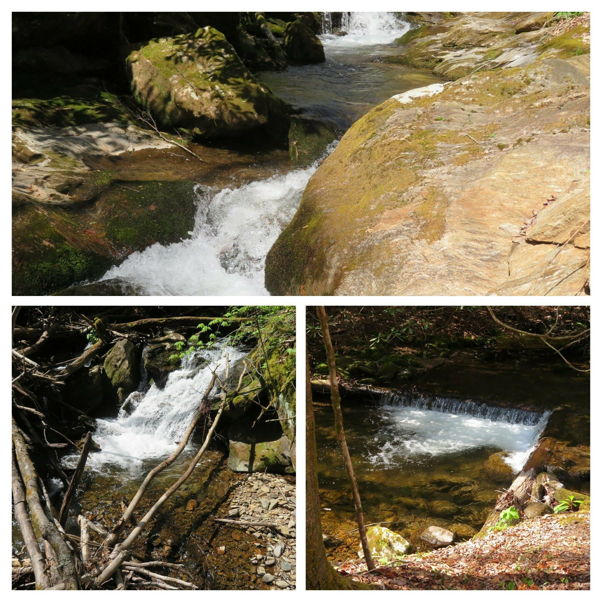More pictures of Kimsey Creek.