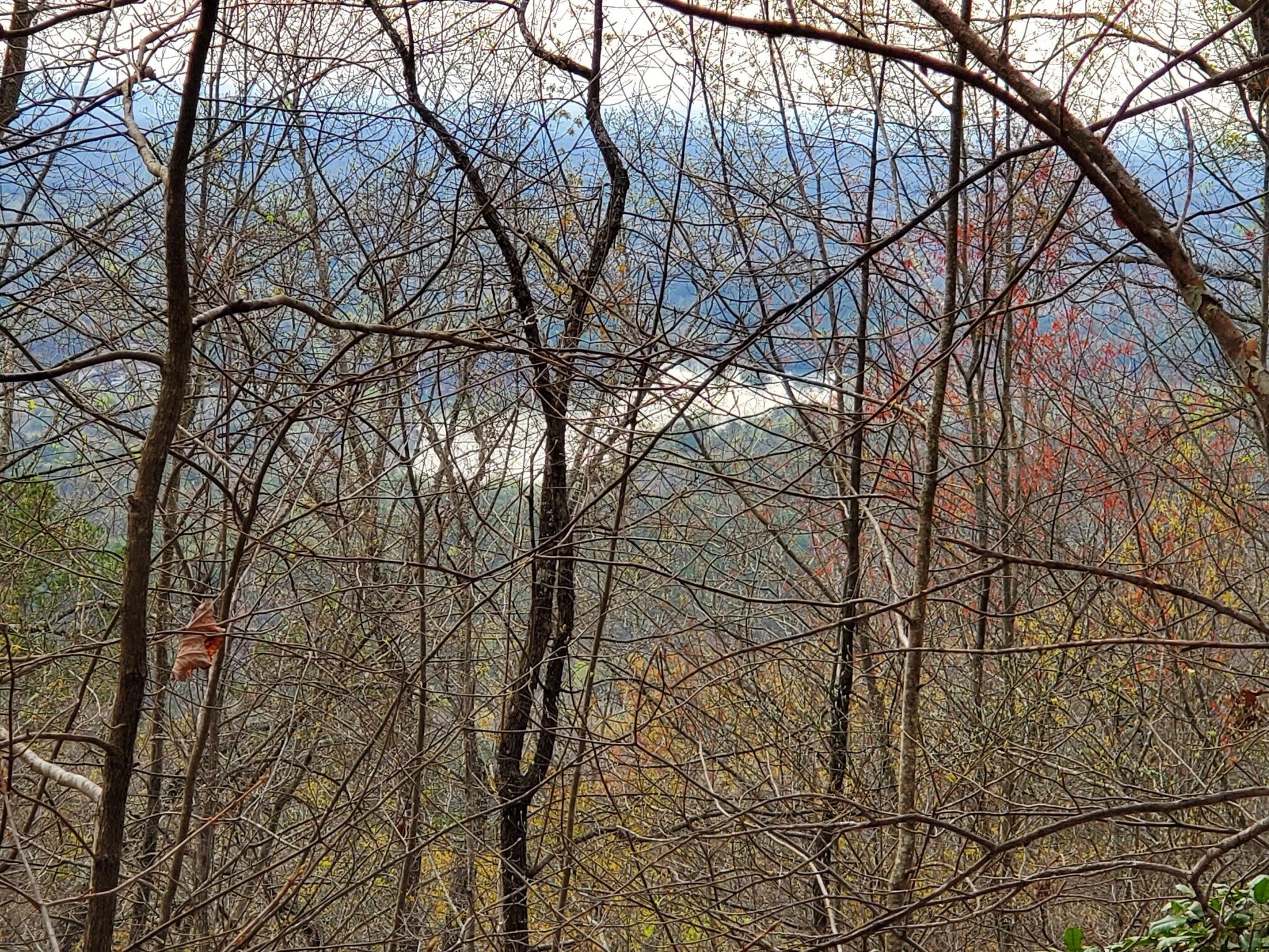 A distance view of Lake Cheohee to the southeast from the trail.
