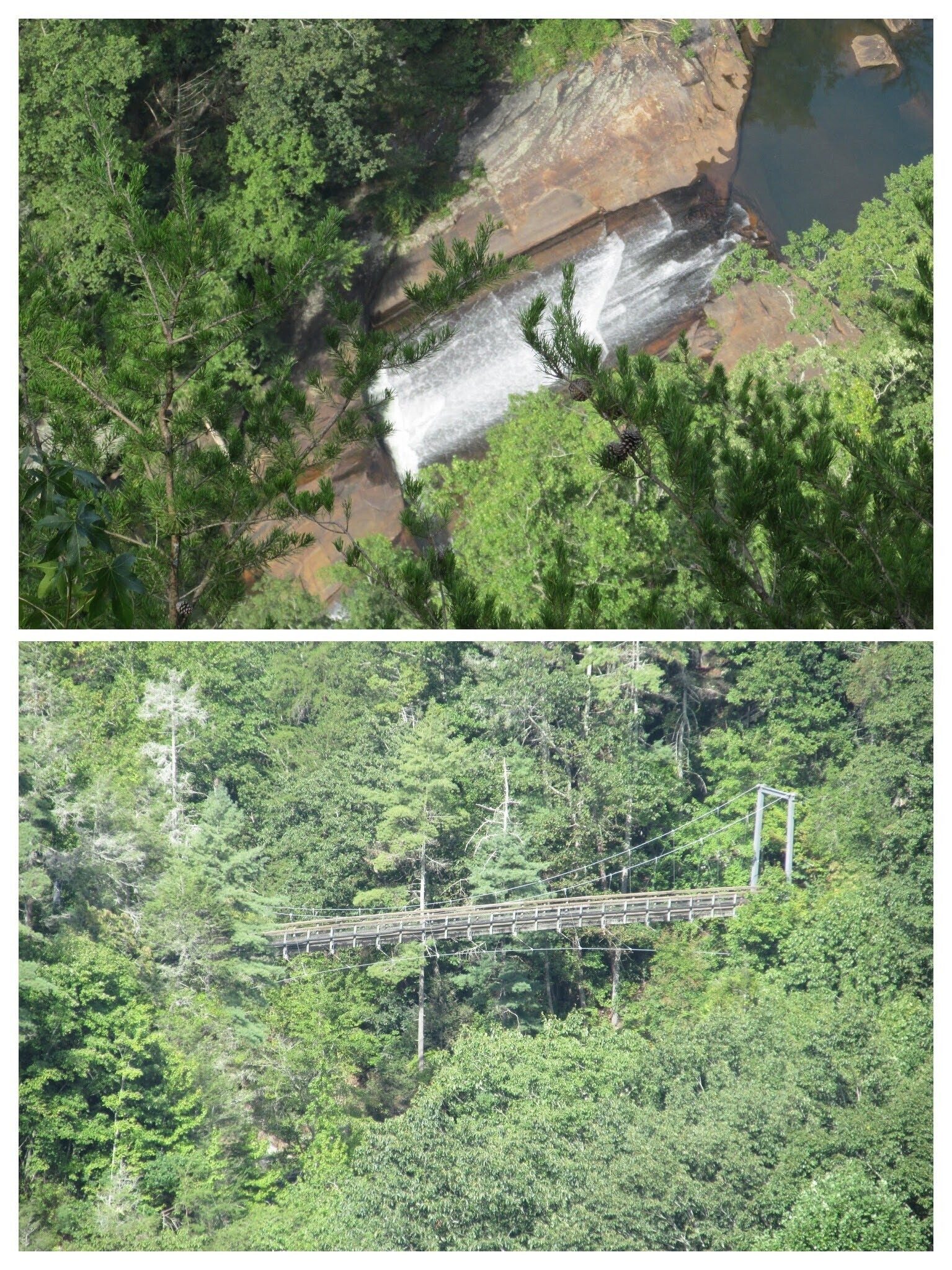 And the views are quite nice from Inspiration Point including the suspension bridge from the north to the south side of the gorge.