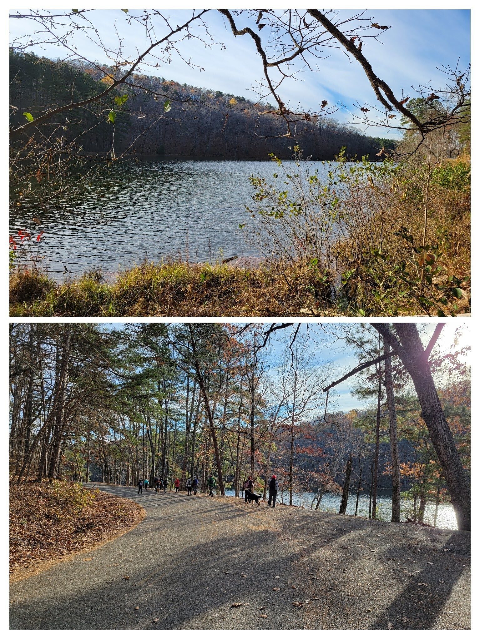 We took the park road around the north end of Lake Russell to the trailhead.