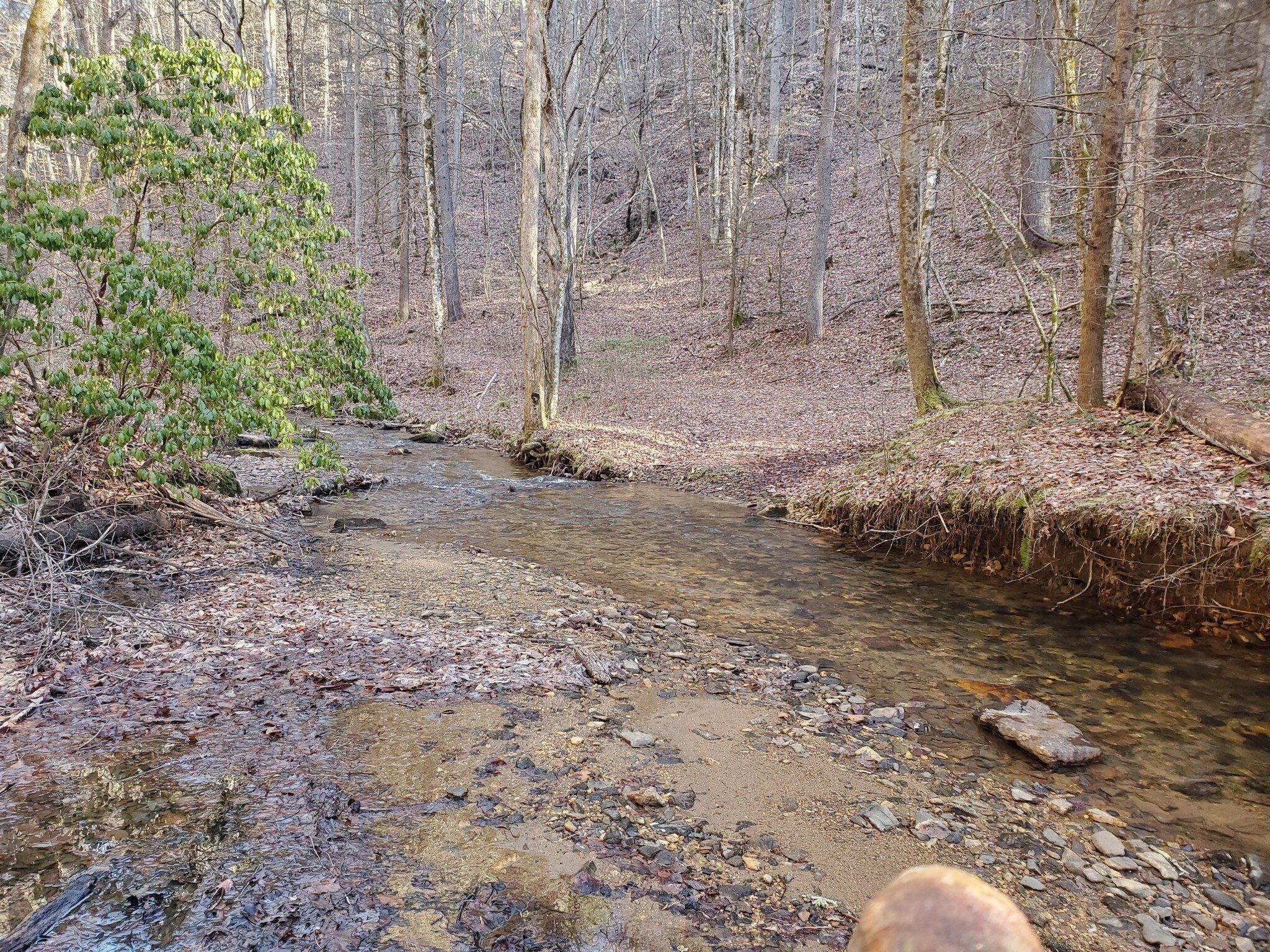 Helton Creek just above Cooper Creek.  Crossing this creek is necessary if you approach from the east.