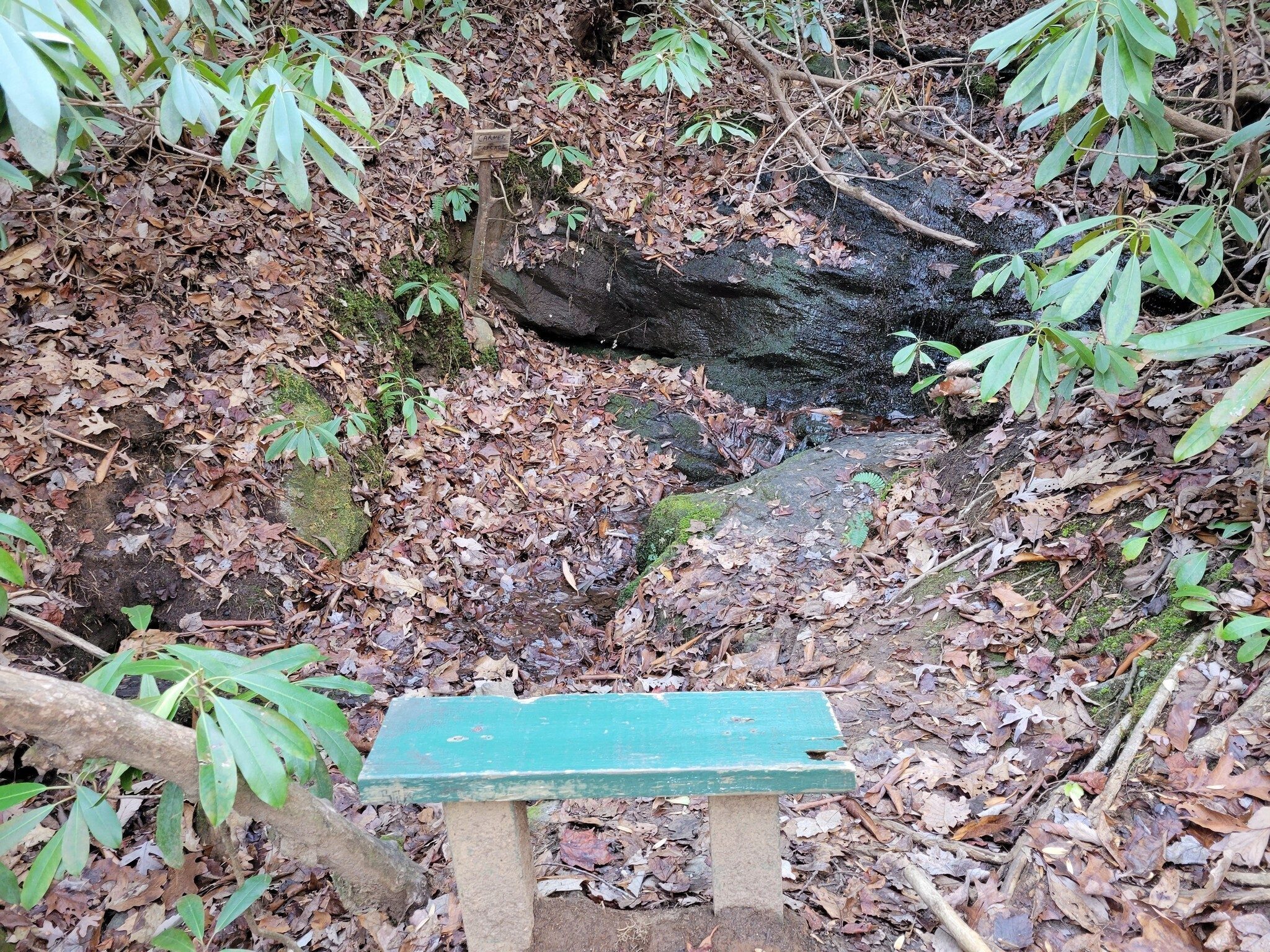 And as a bonus at the end of the hike, we're throwing in a brief stop at this lovely cascade . . .  look closely, there is water flowing over that rock.
