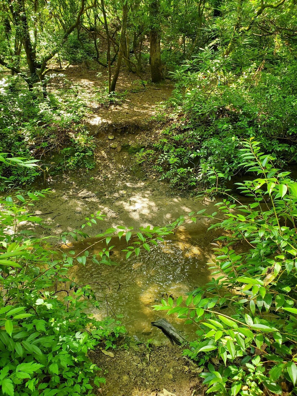 Anyone find the missing bridge across Dicks Creek?