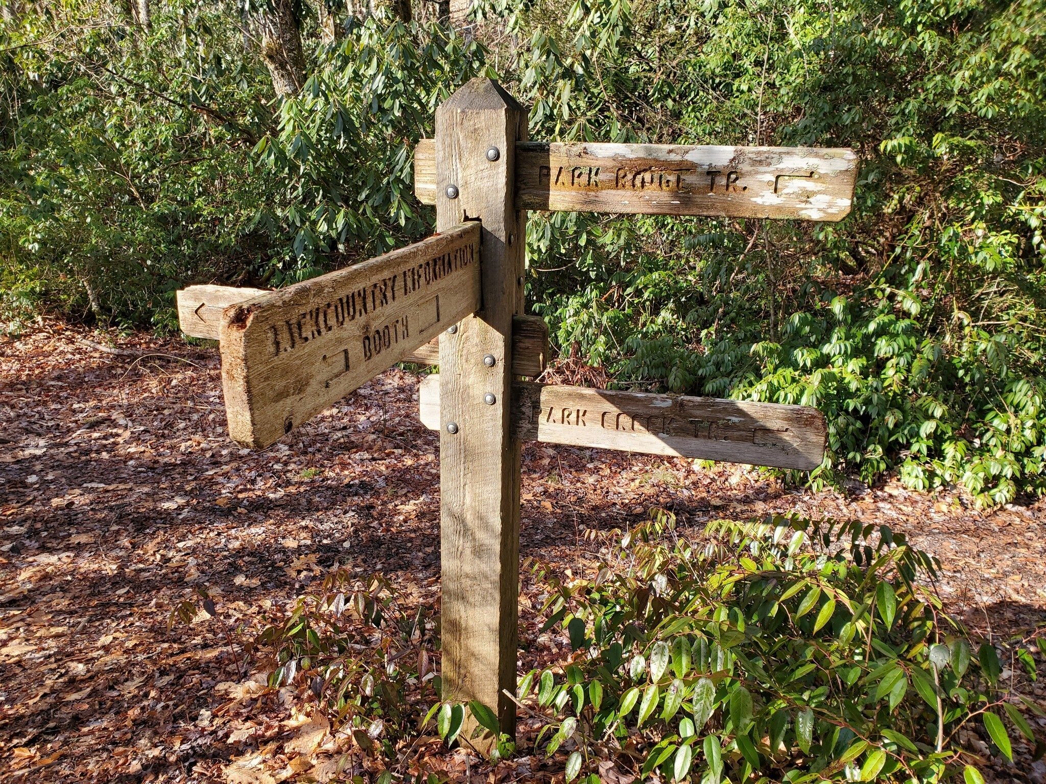 Three main trails originate from Standing Indian Campground: Park Creek, Park Ridge & Kimsey Creek Trail.