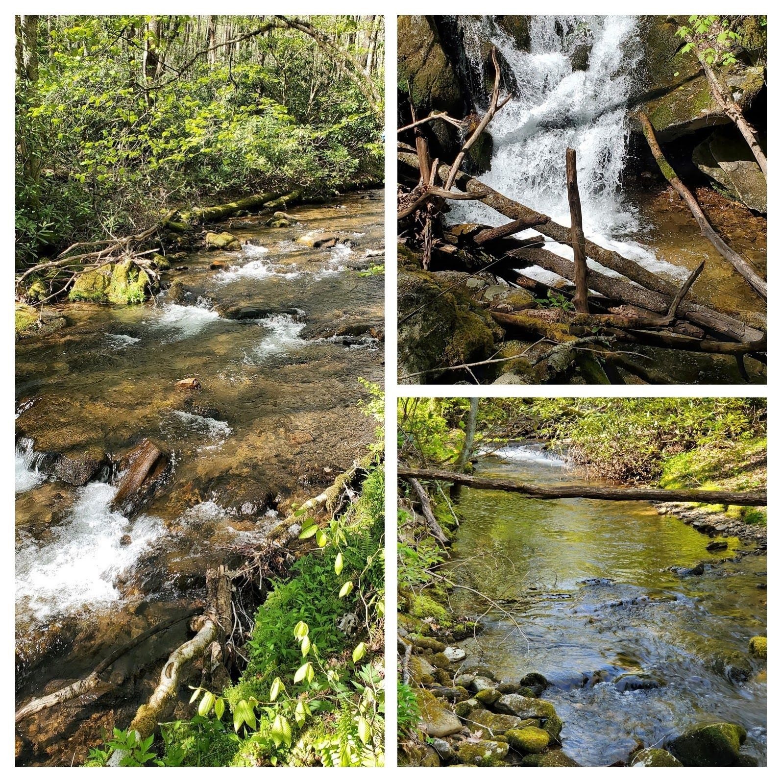 Kimsey Creek is a pleasant sight along most of the trail.