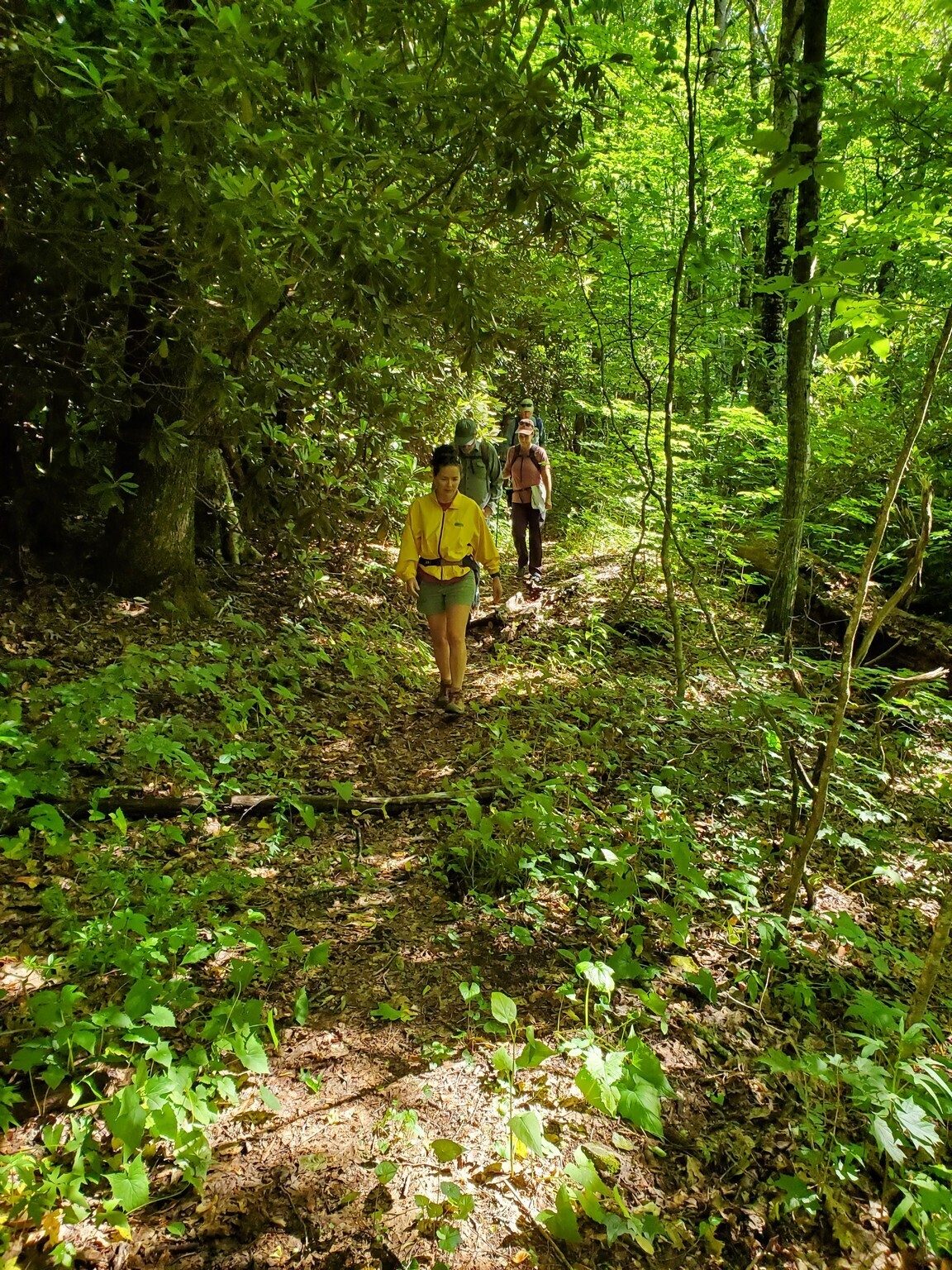Headed up the "Old AT" on our way to the Chunky Gal Trail