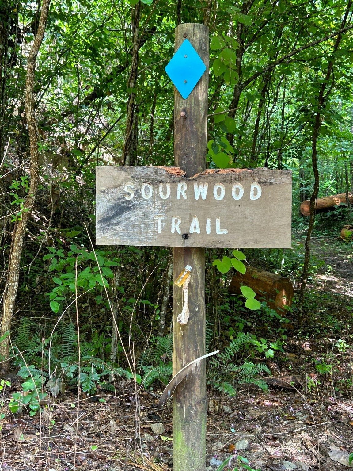 Looks like the right trail.
