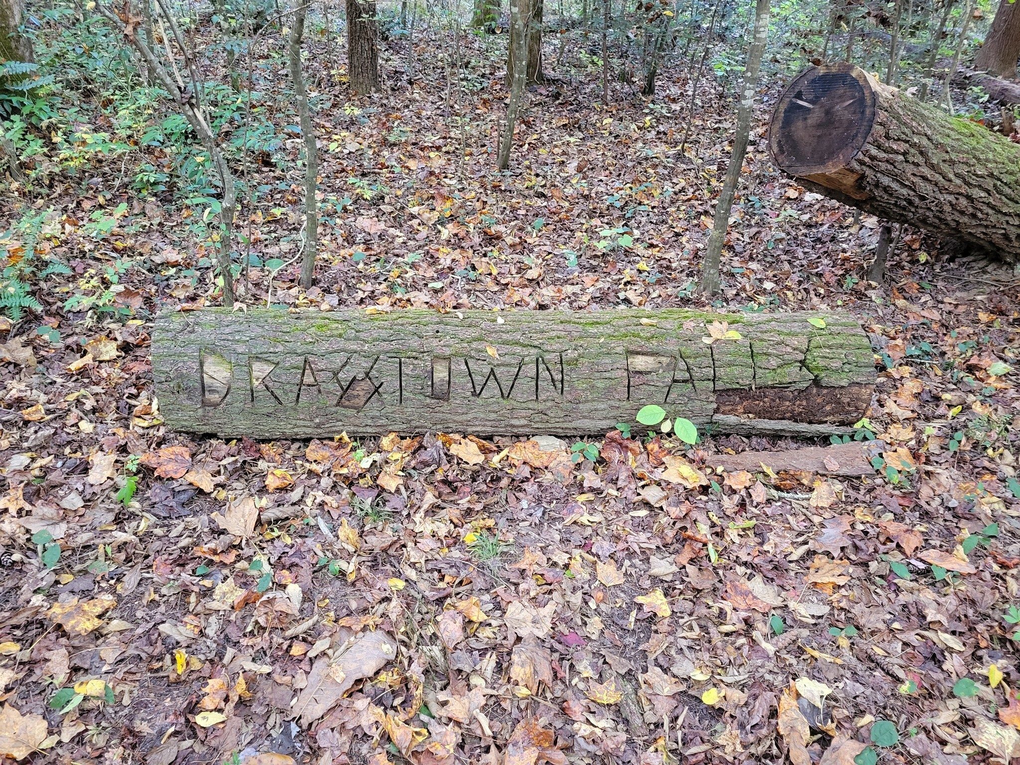 That's a nice welcome to Brasstown Falls.