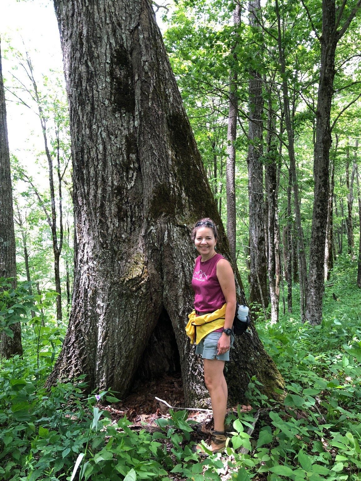 Yep, that's a big tree.  Nice to see so many on this hike!