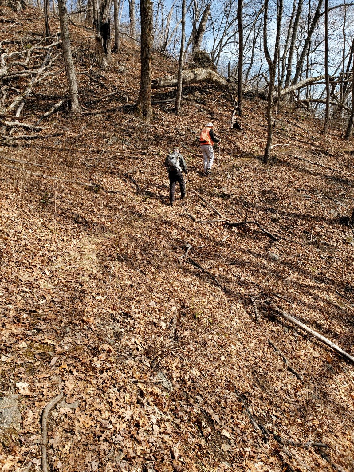Headed back along a steep side-slope with narrow ledge.