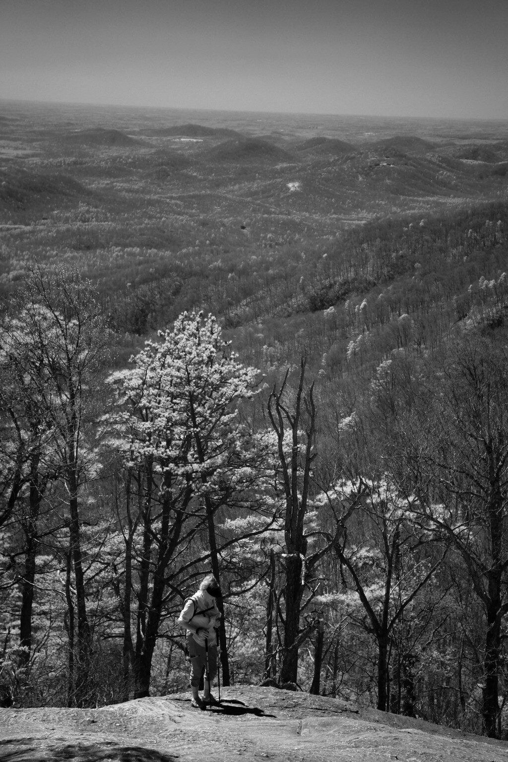 Rich Brown shot this photo from Governor's Rock.  He explains "The white in trees is new growth. Infrared cuts through the haze to show the view."
