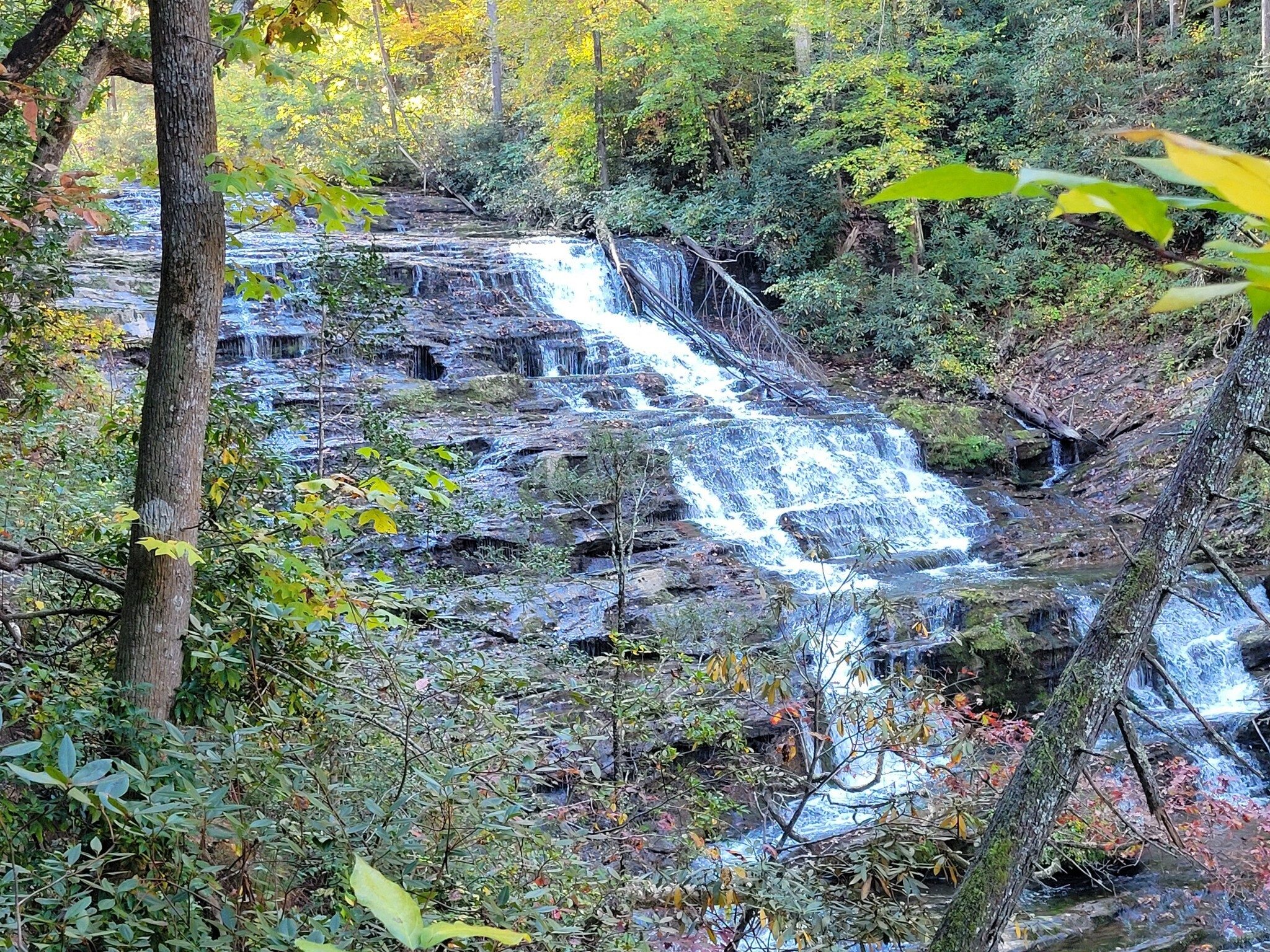 The first tier of Brasstown Falls.