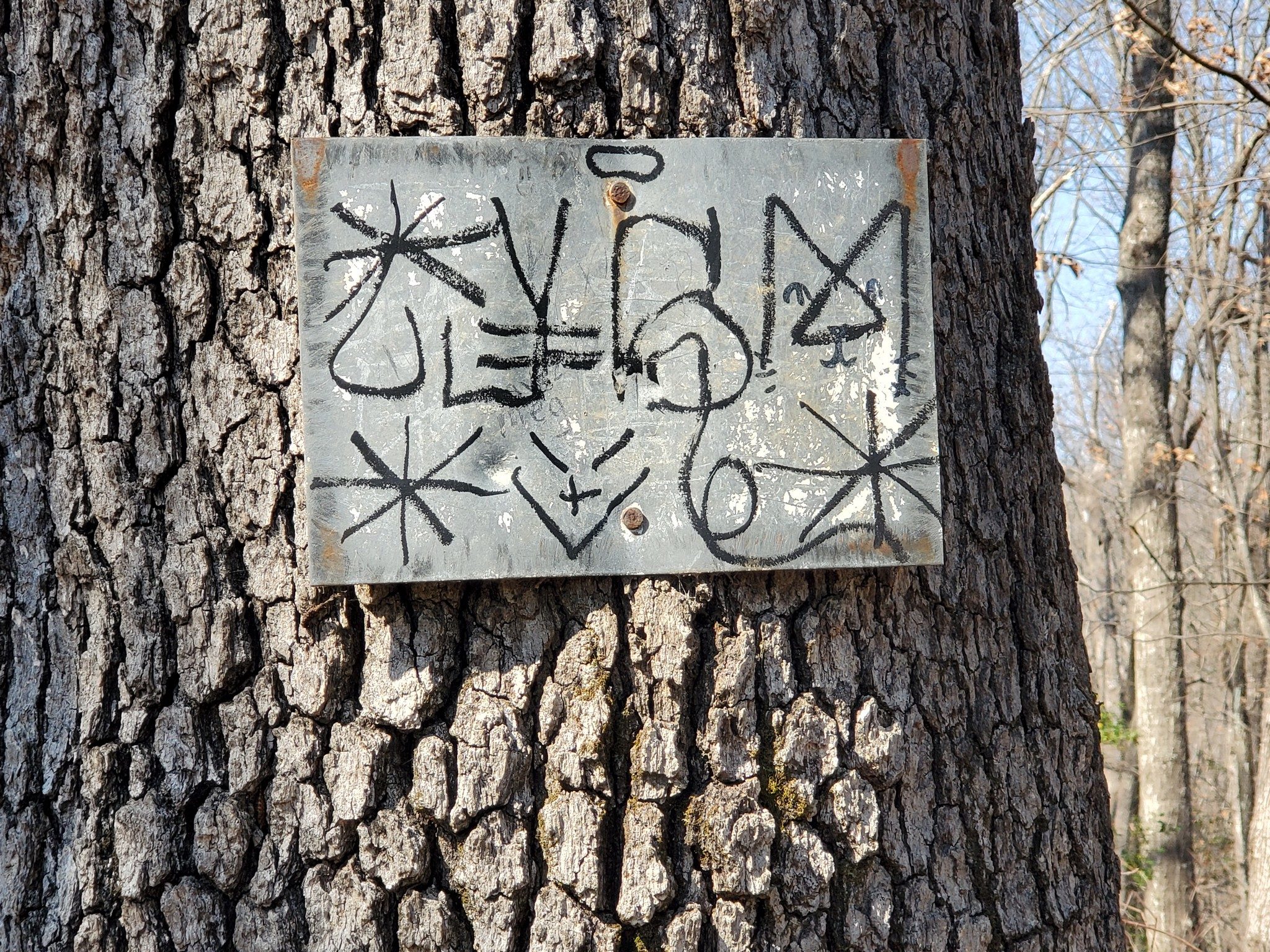 A cryptic sign along our return path. Anyone interpret this?