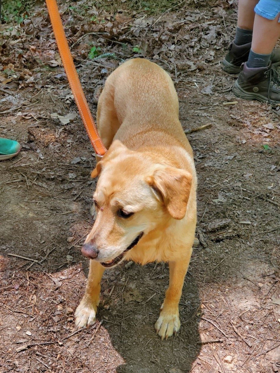 Squirt says, "Let's get this hike over with!  I'm tired."