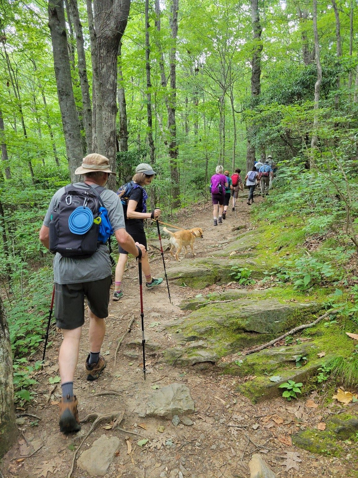 Not too bad of a grade on the AT portion of our hike.