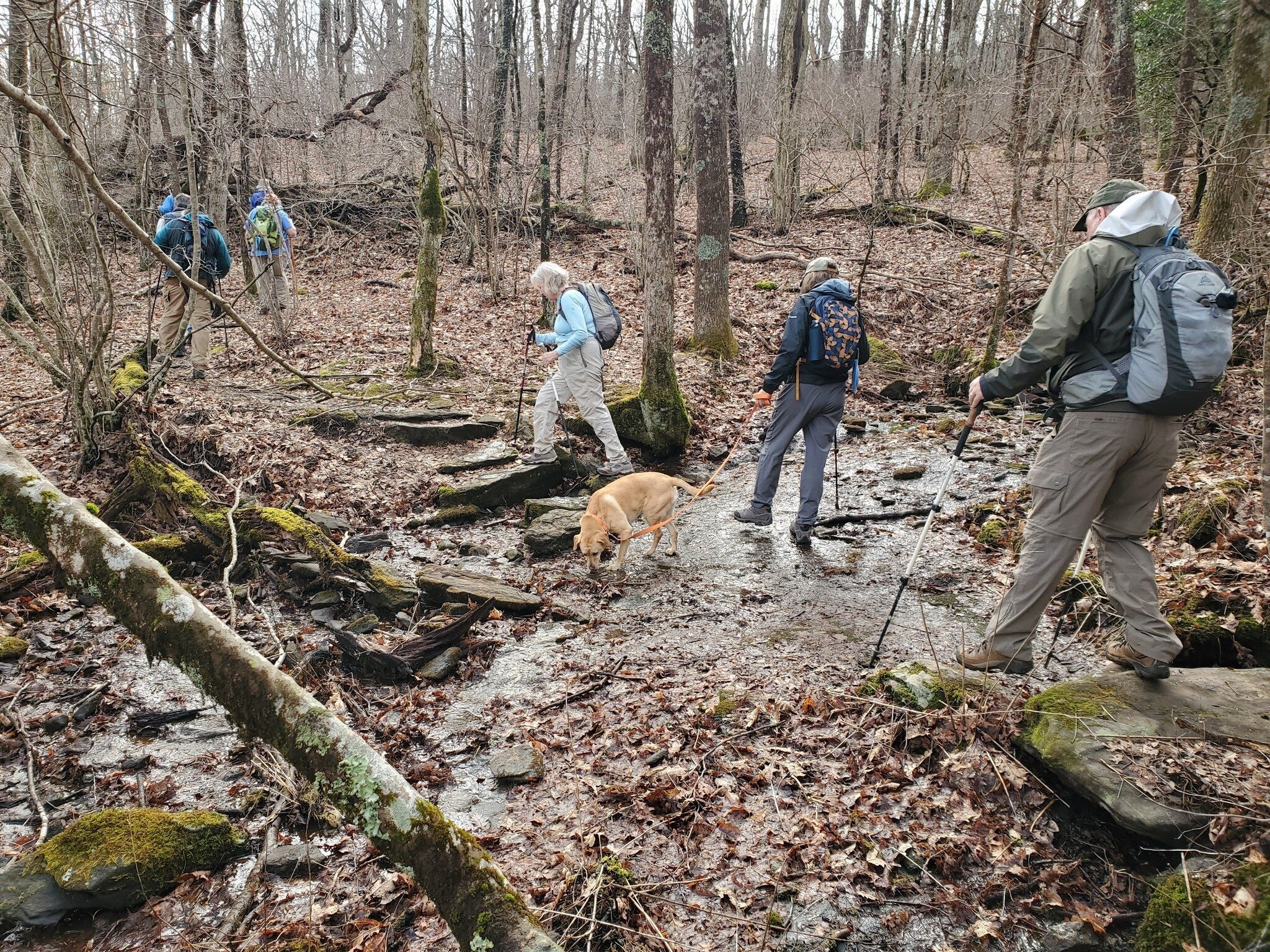 With the wet winter, there were quite a few flowing drainage swales to cross.