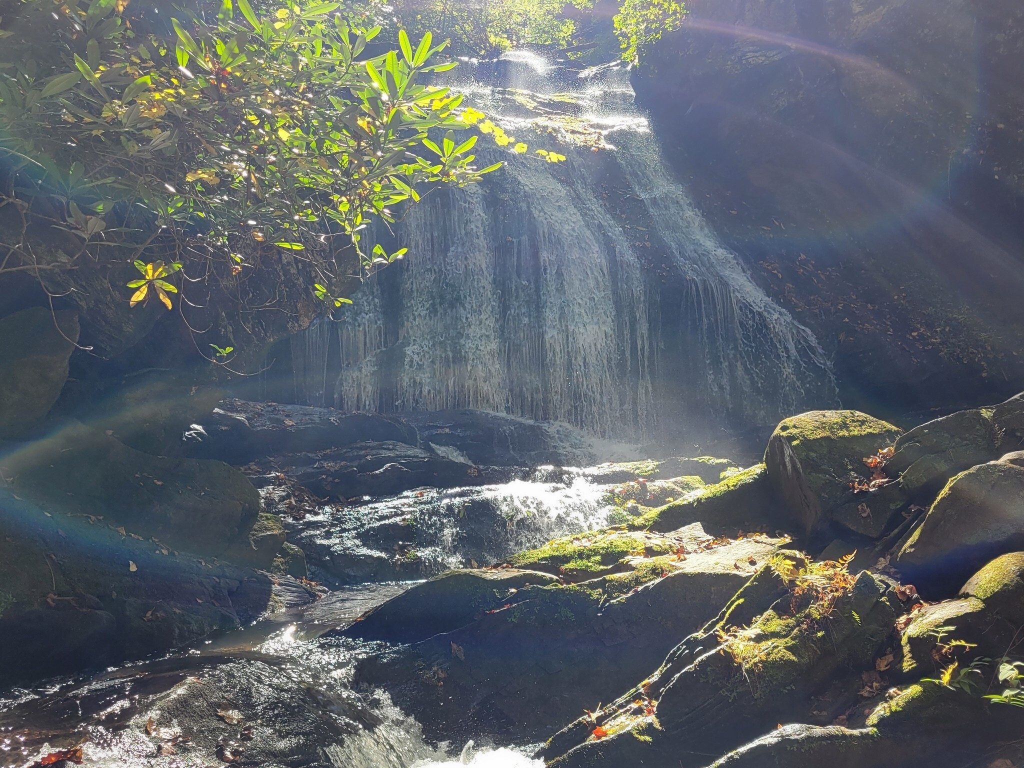 The low fall sun reflecting off the water and streaming through the trees . . . just beautiful!