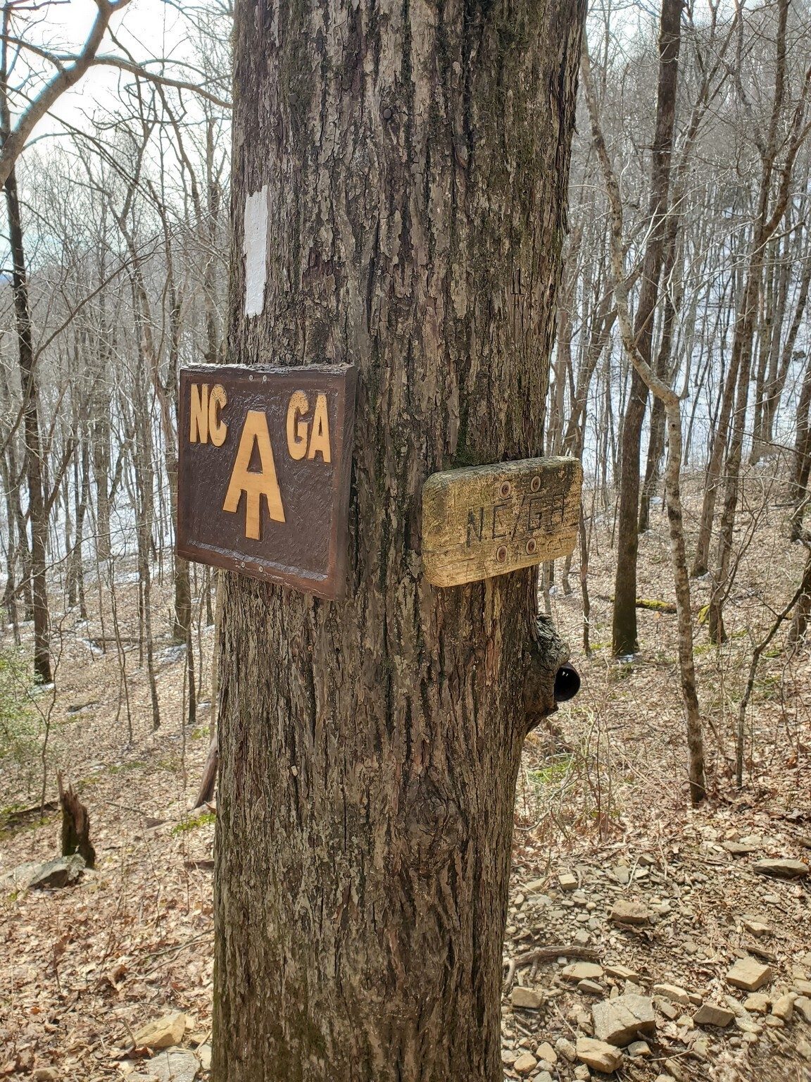 The Georgia-North Carolina border!