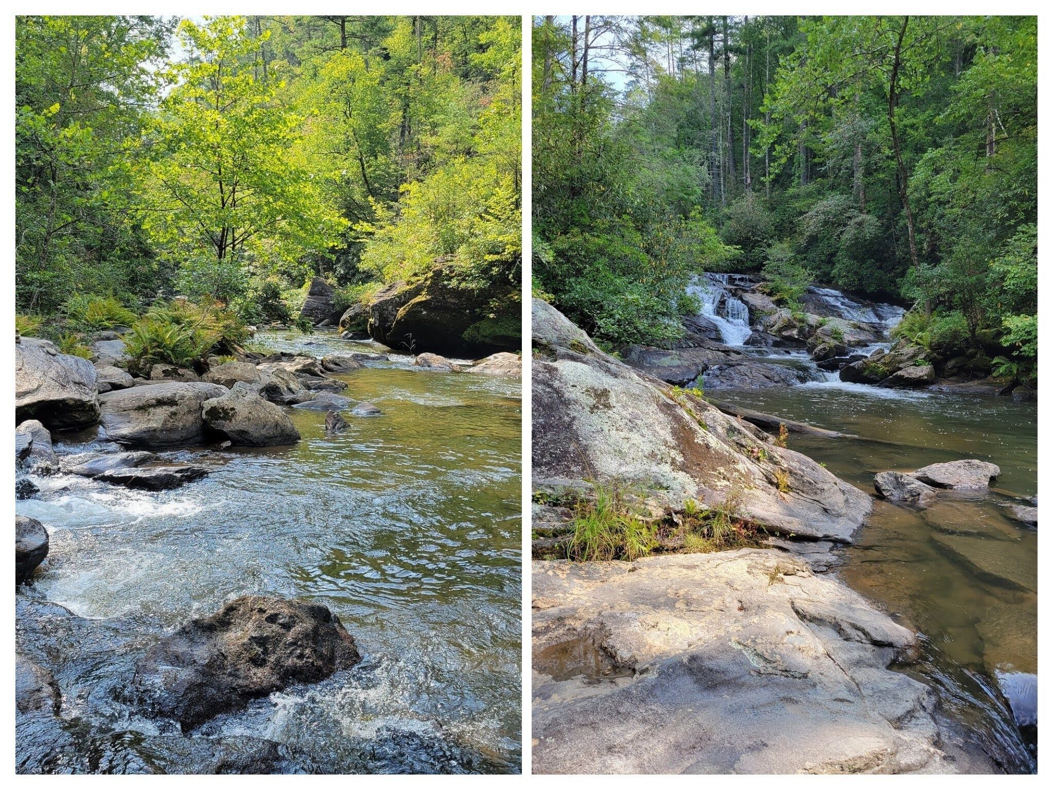 Views of Three Forks