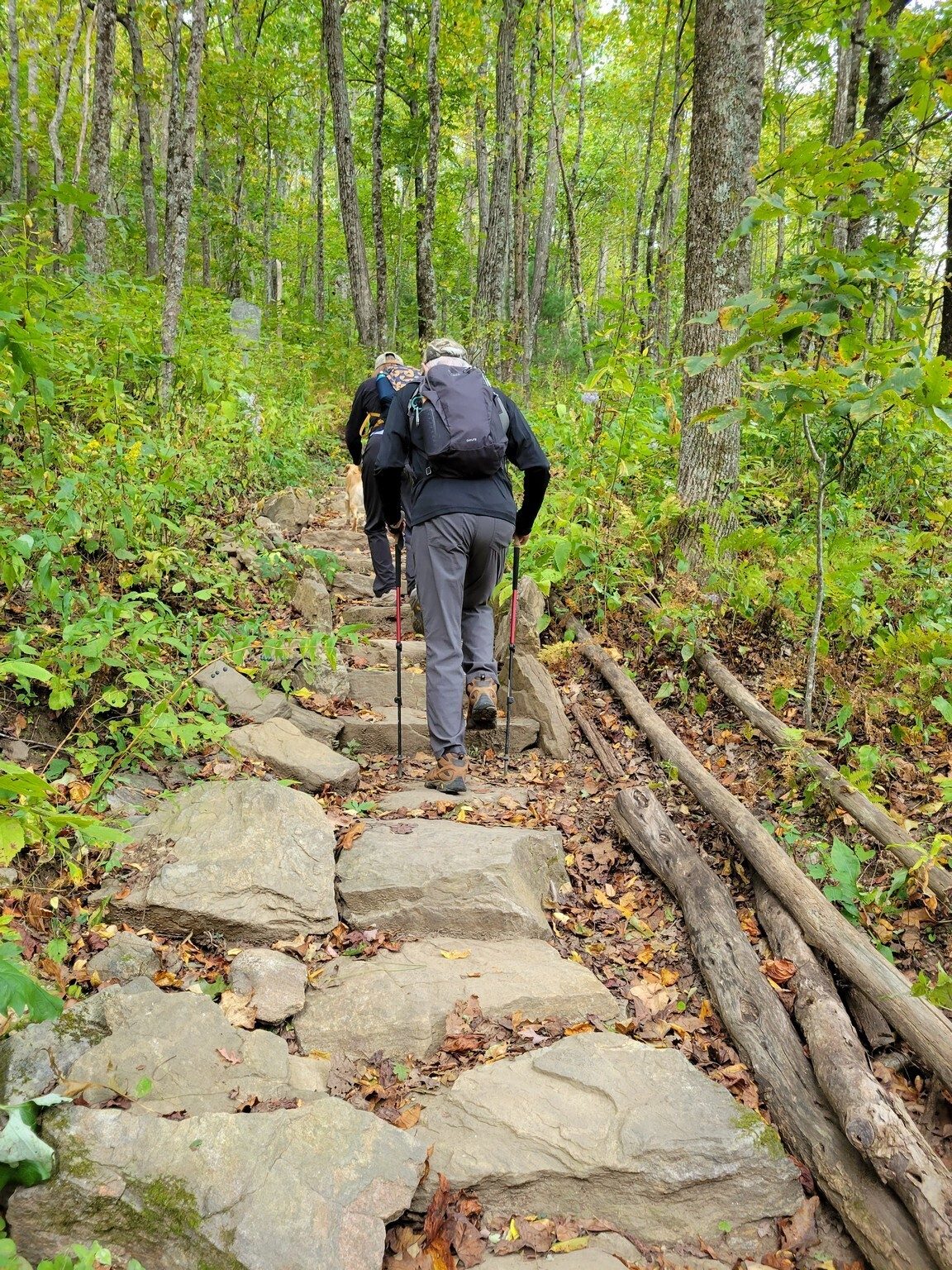 Up those first set of steps!