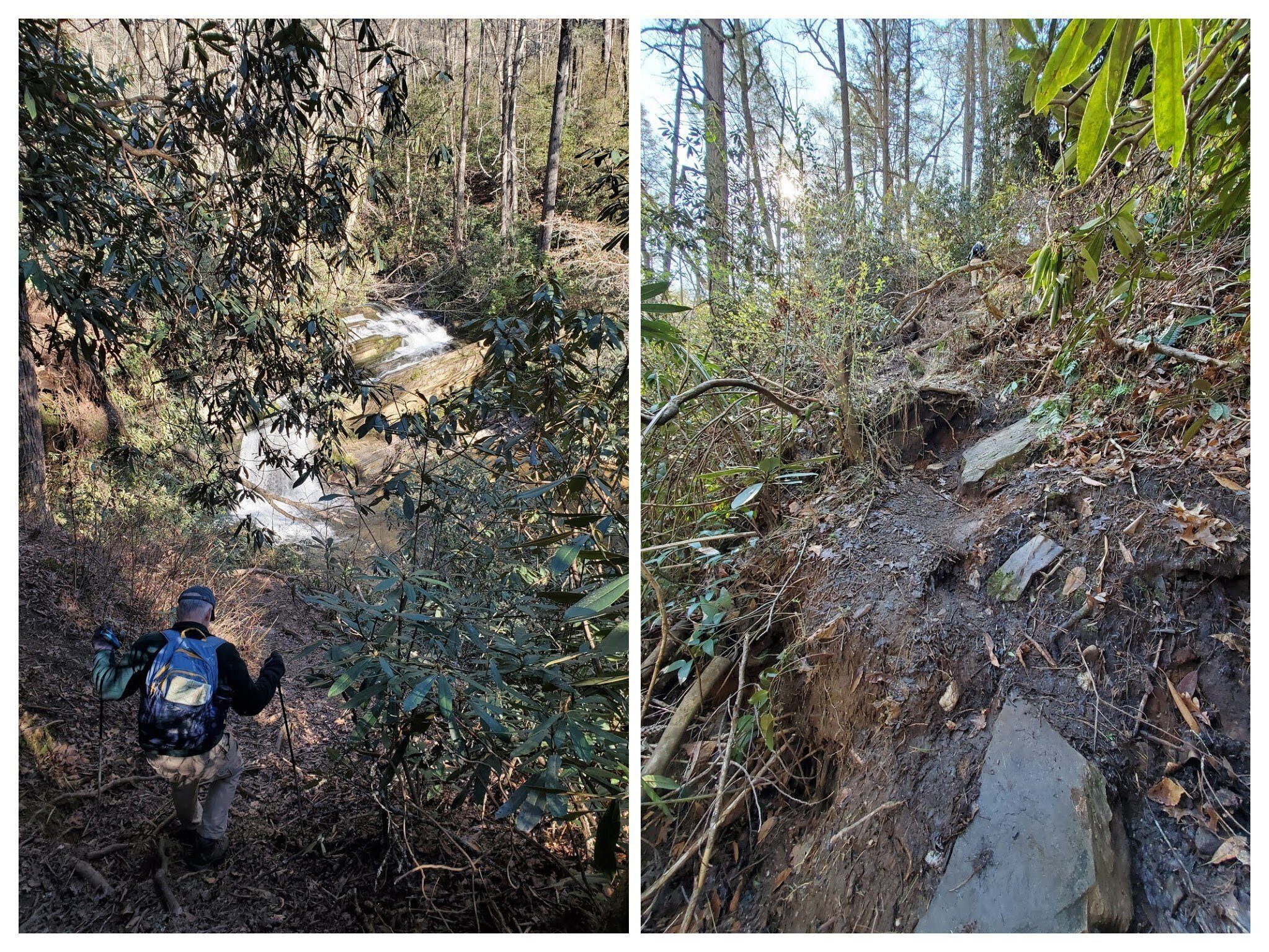 Going down or back up the side trail to Raper Creek Falls is a bit of a scramble.