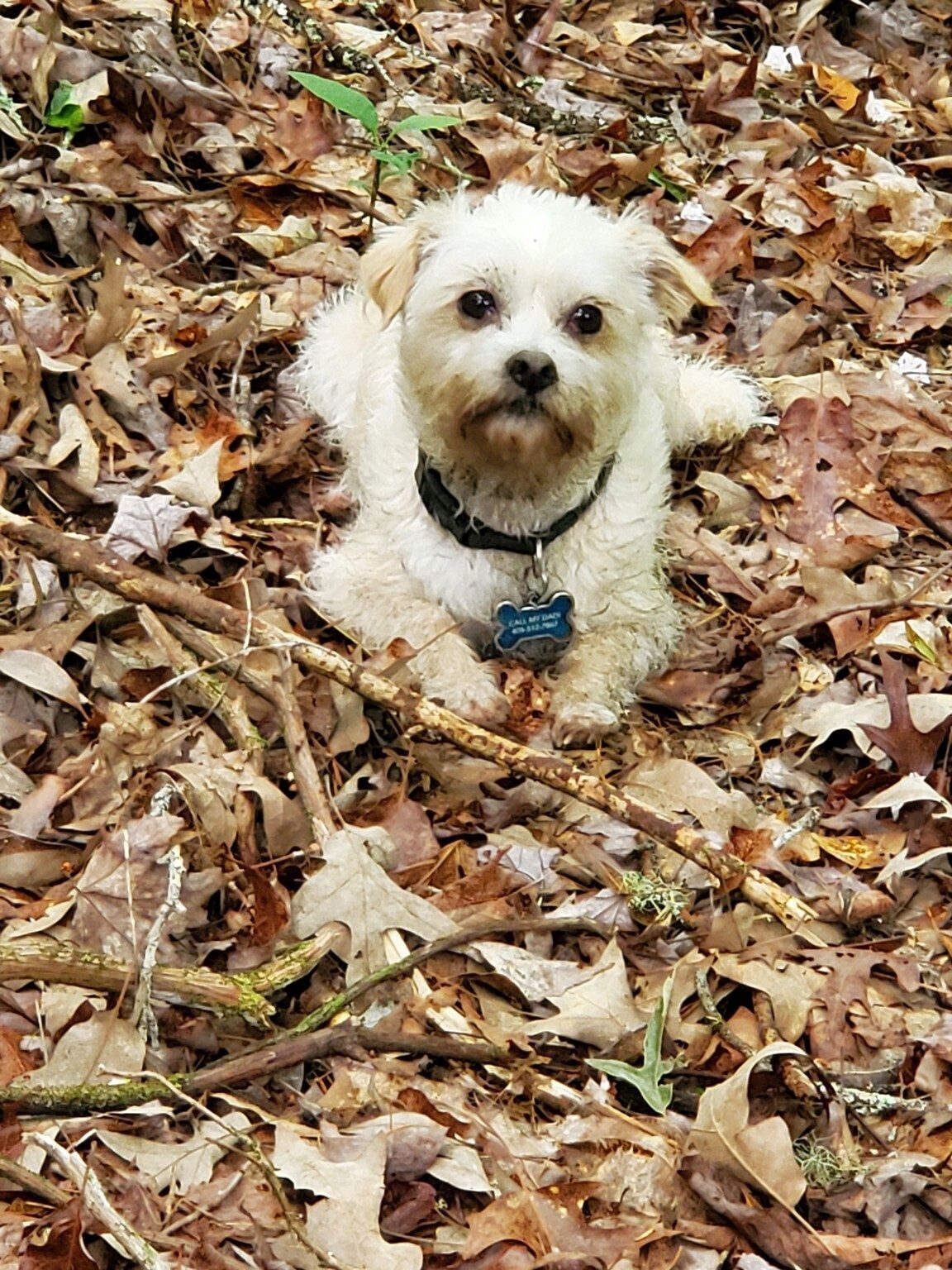 Cutie Pie says, "Let's take a break!"