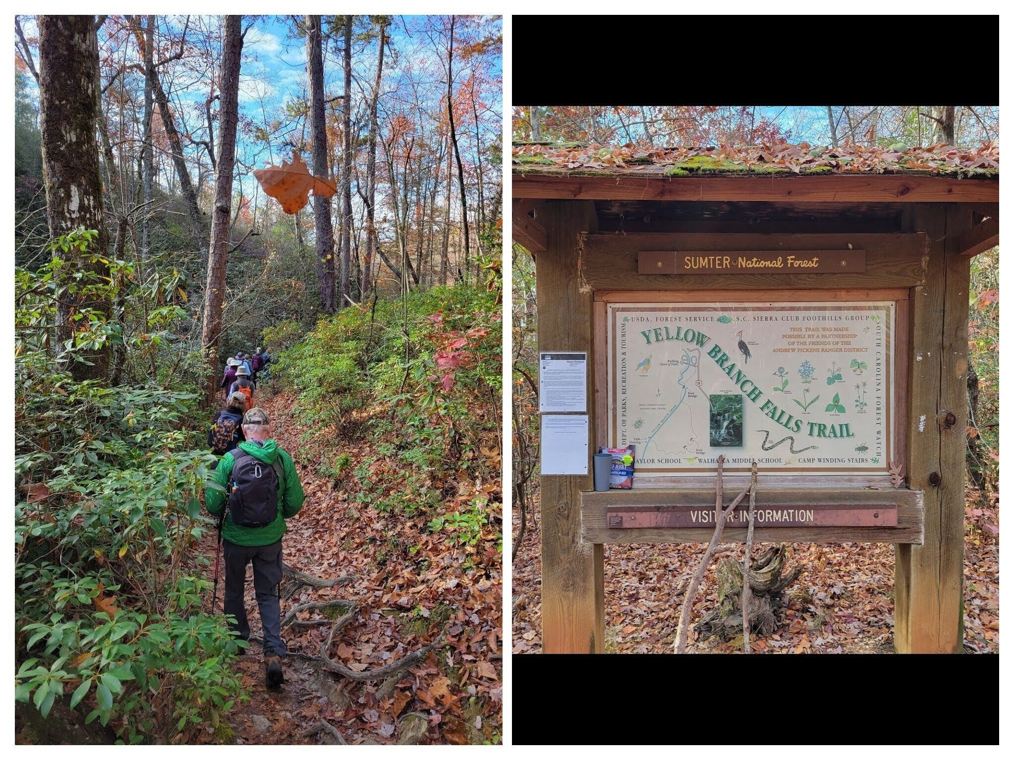 Yes, it's a bit rooty with heavy use, but it's still not that bad of a trail.