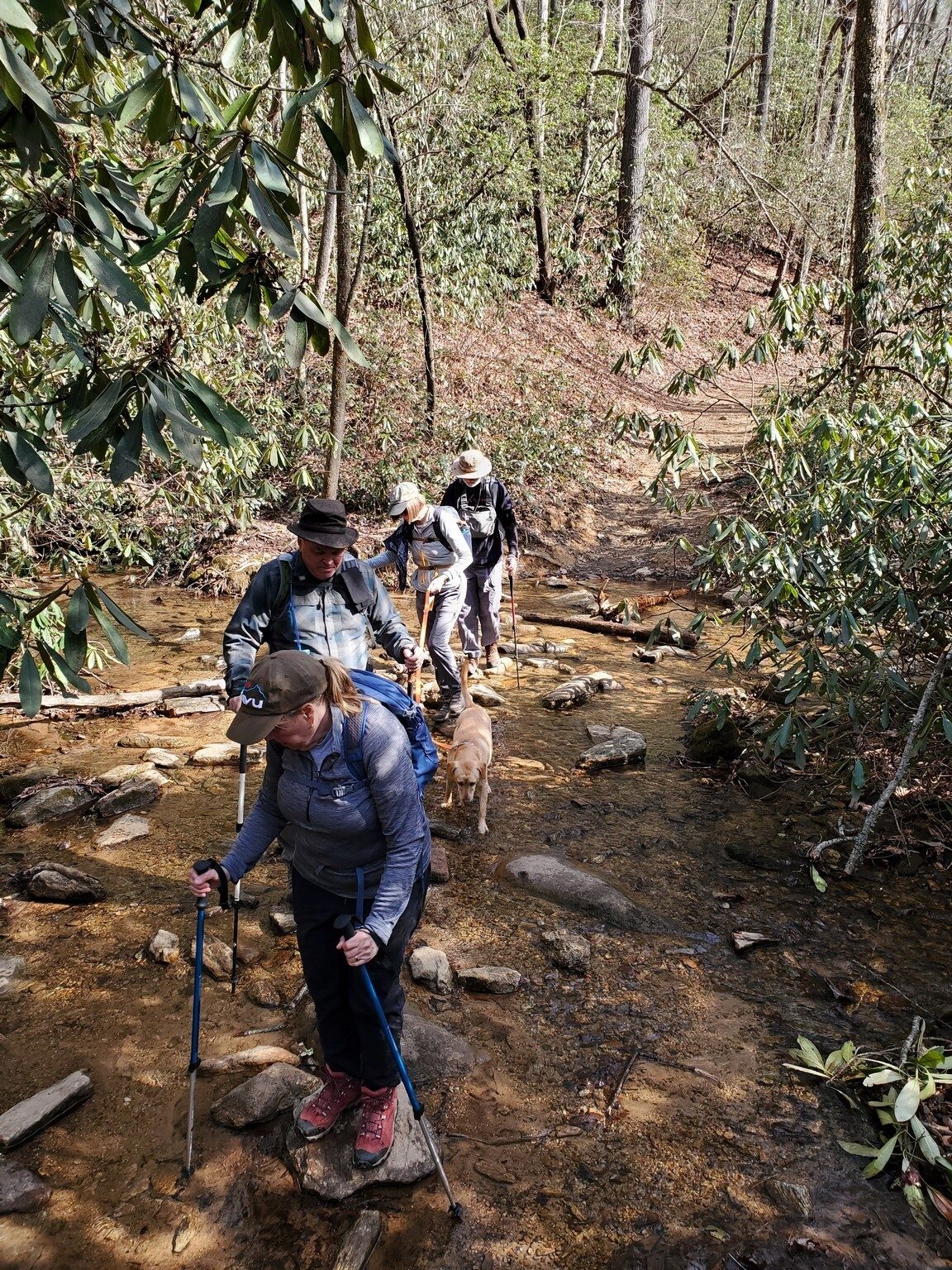 A stream crossing on our way to Rainbow Falls.