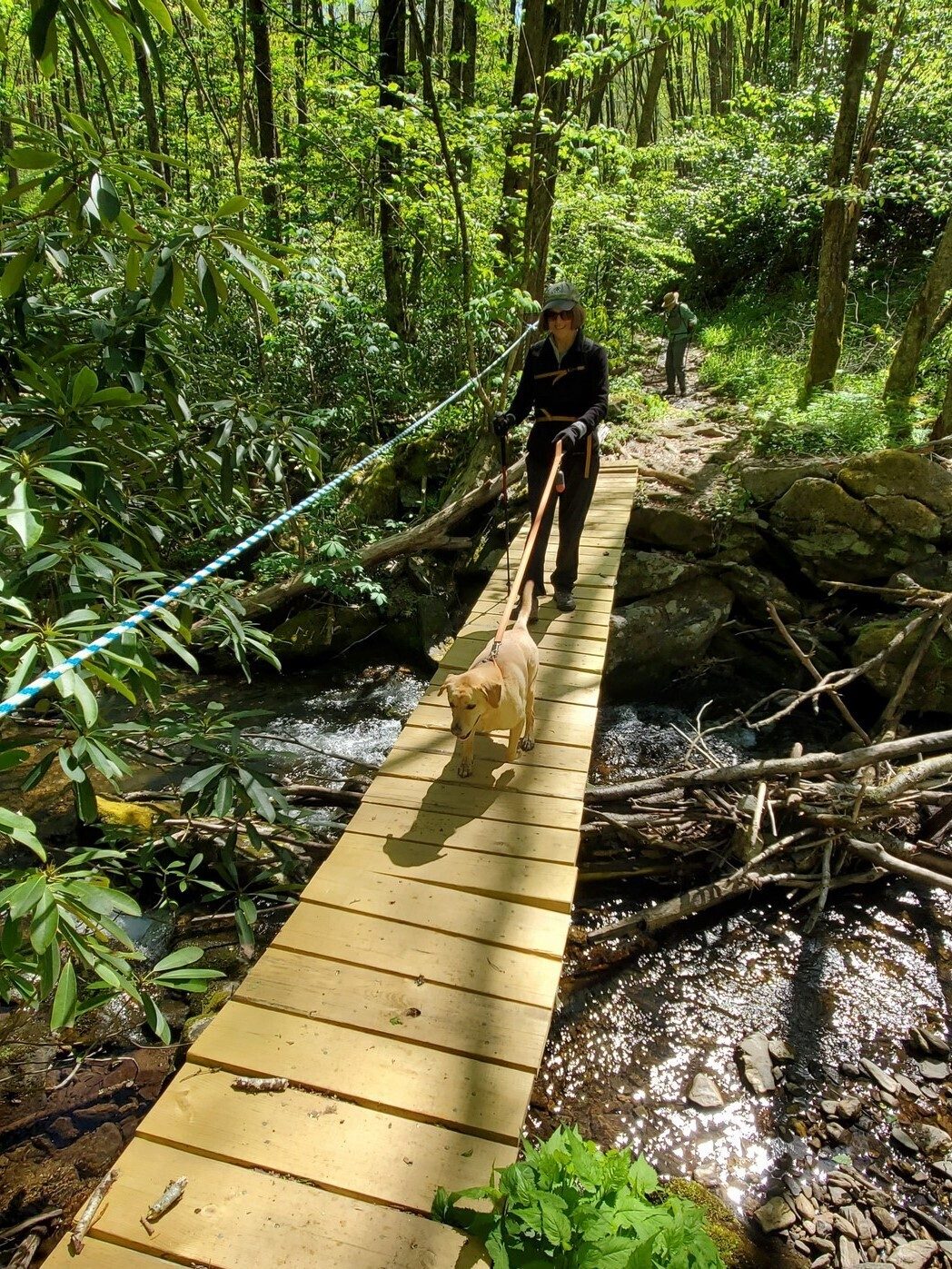 Hey look!  They replaced the bridge.  Squirt likes it, too.