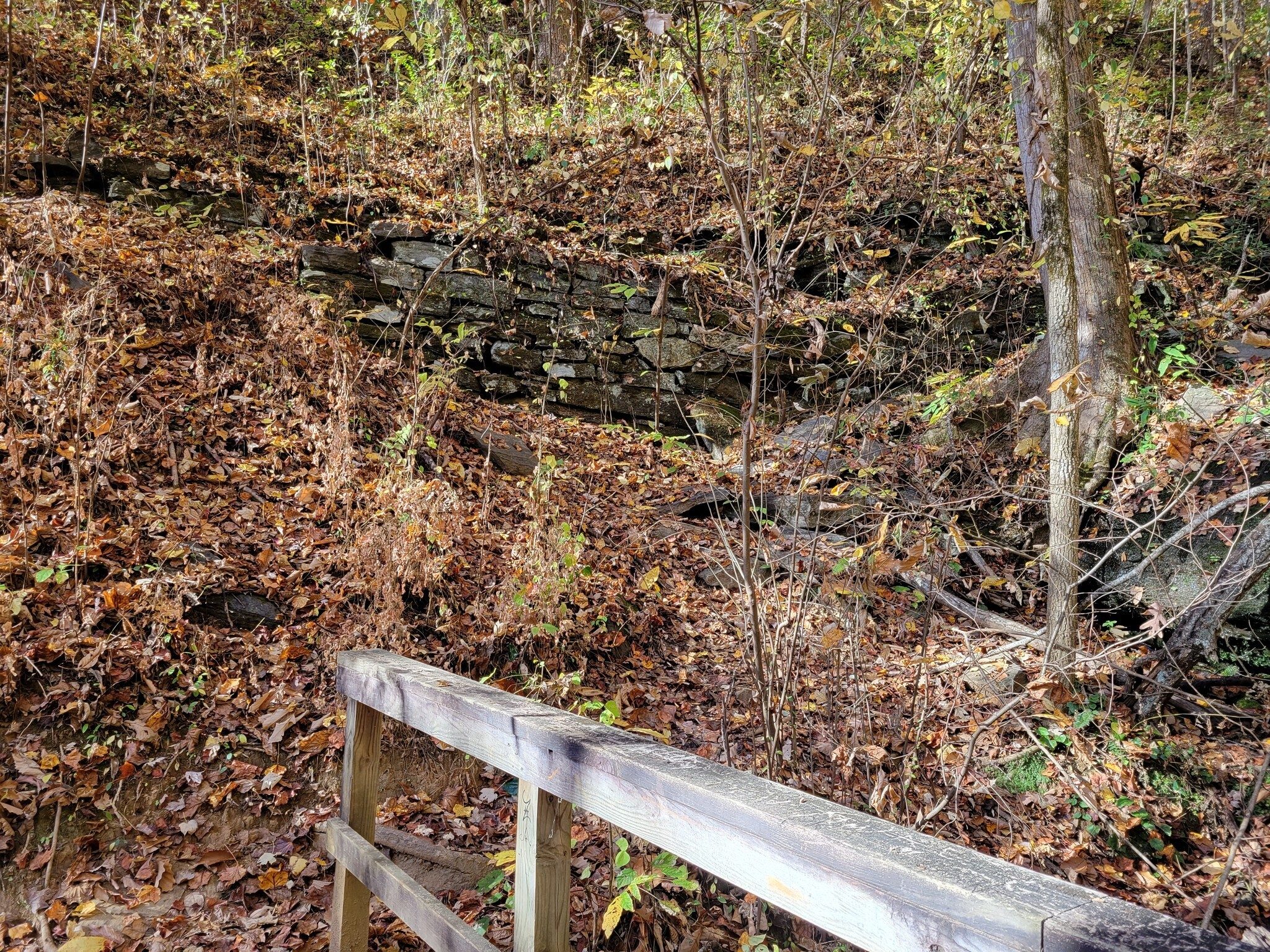 Matt and I were puzzled by this large stacked rock wall over this branch that extended up the trail a ways.
