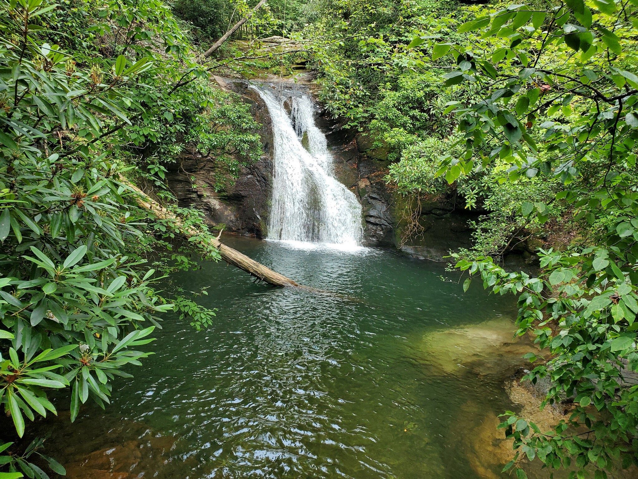 Blue Hole Falls . . . . really pretty and inviting today.  No swimmers, though.