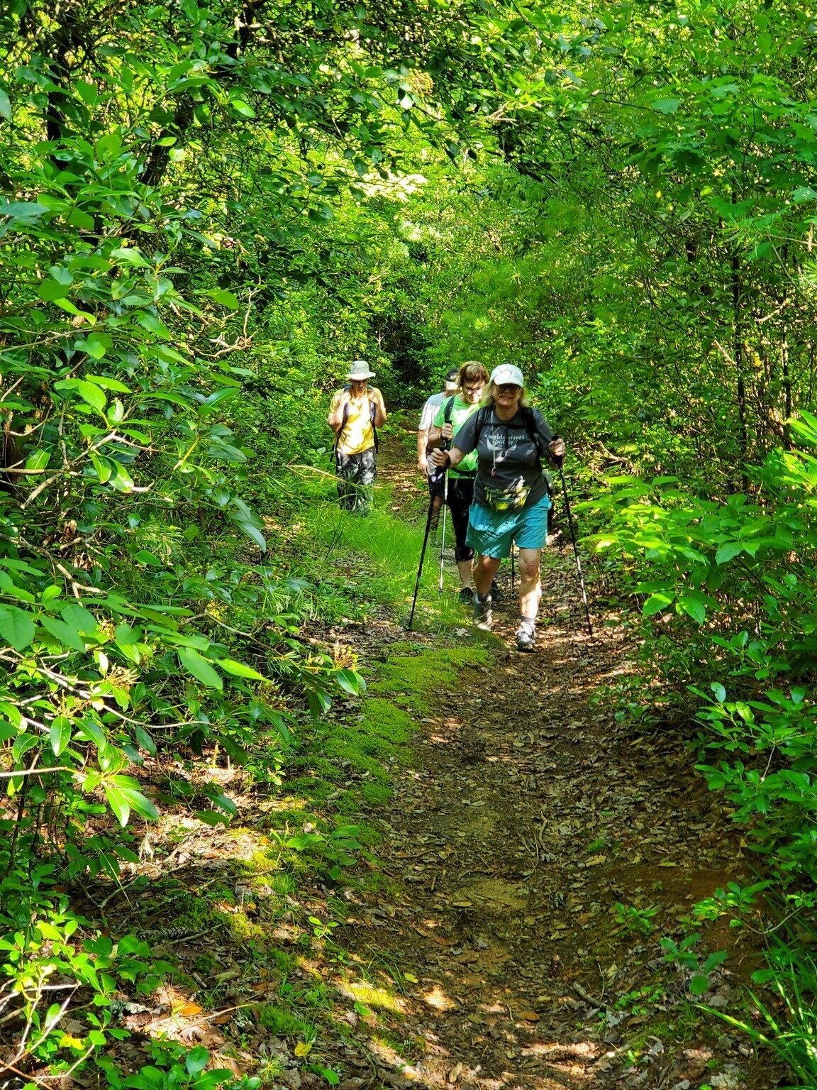 Up the hill we go.