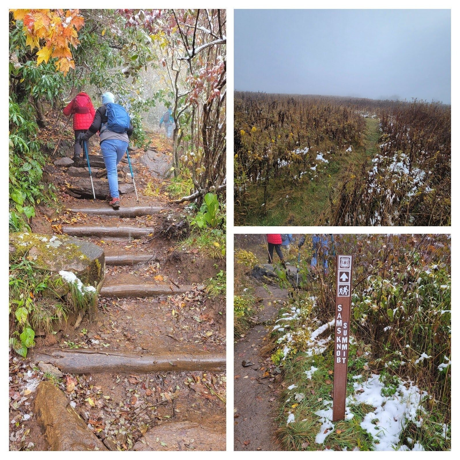 On our way to Sam Knob the trail opens up a bit, but then the steep climb to the summit.