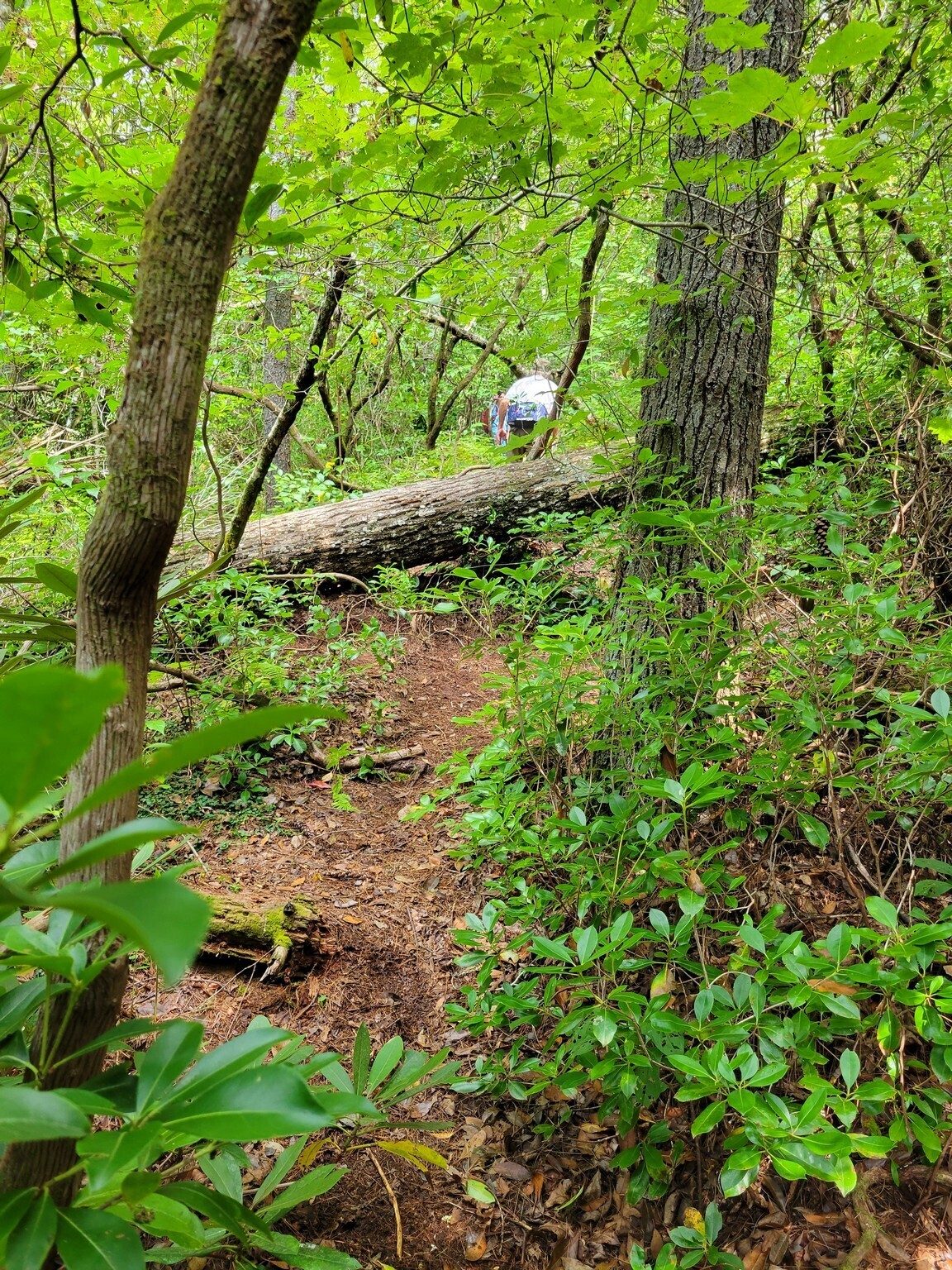 Climbing out from Three Forks . . . pretty steep, eh Vic?