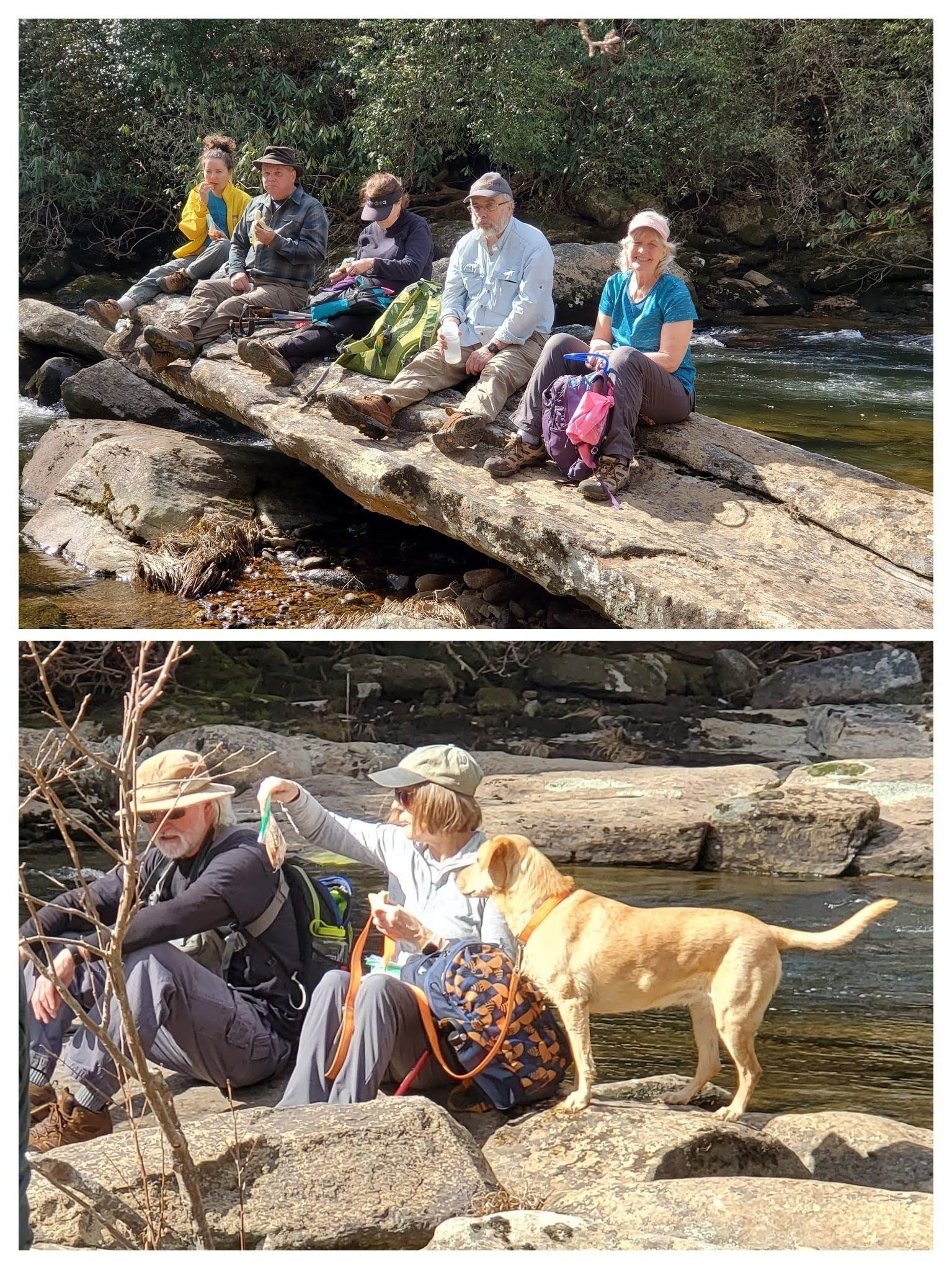 Breaktime on the top of Staircase Falls. Squirt says, "How about me?"
