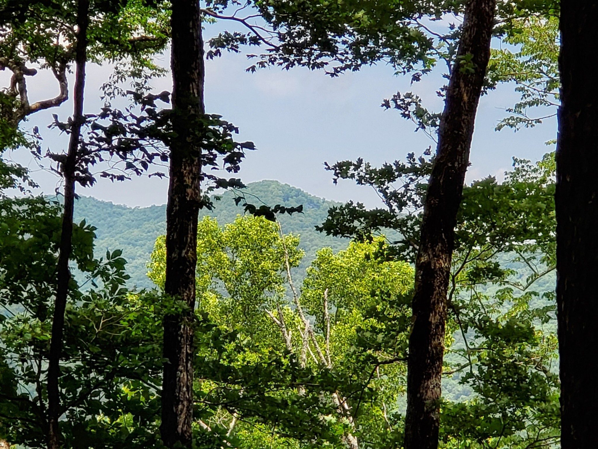 Perhaps the best "almost view" of the hike.