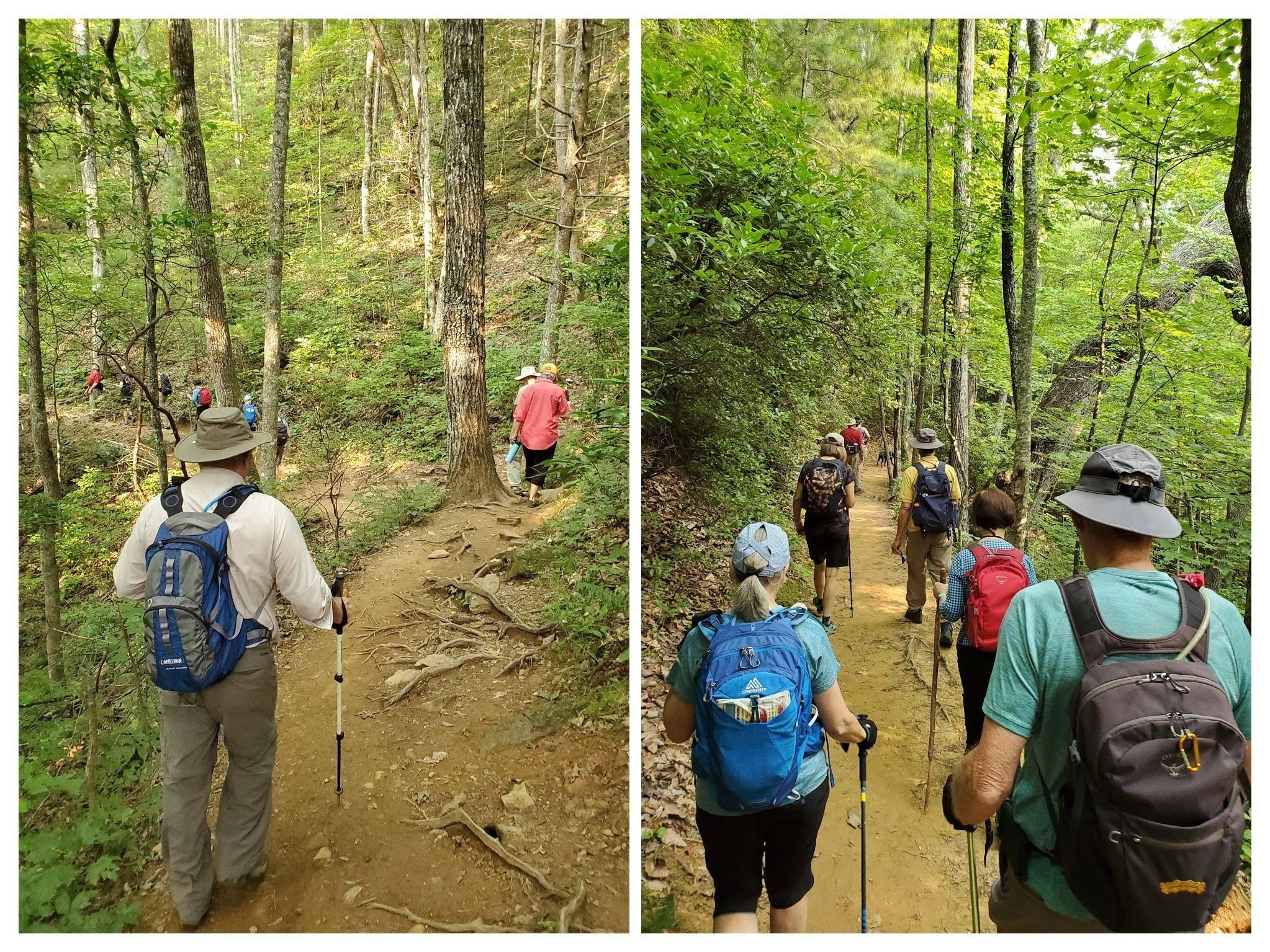 The first part of the hike, right pane, is a fairly smooth path. The left pane shows it is  then rooty for most of the hike.