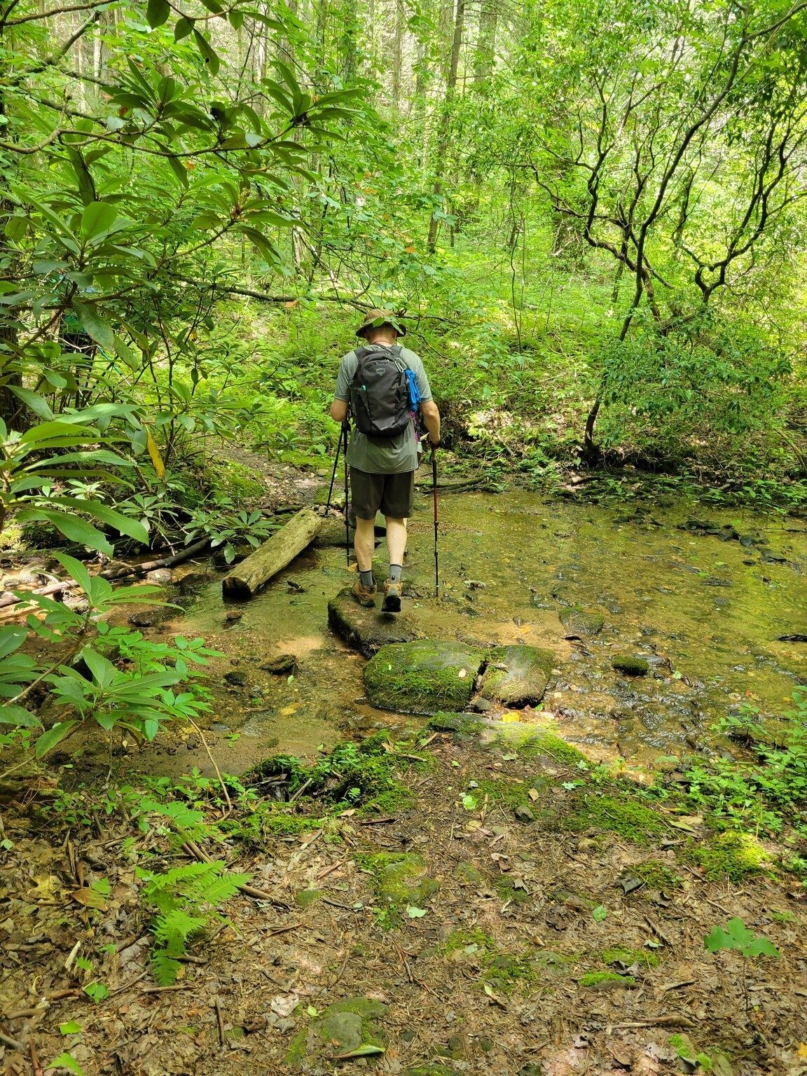 Rich crossing one of those small feeder branches.