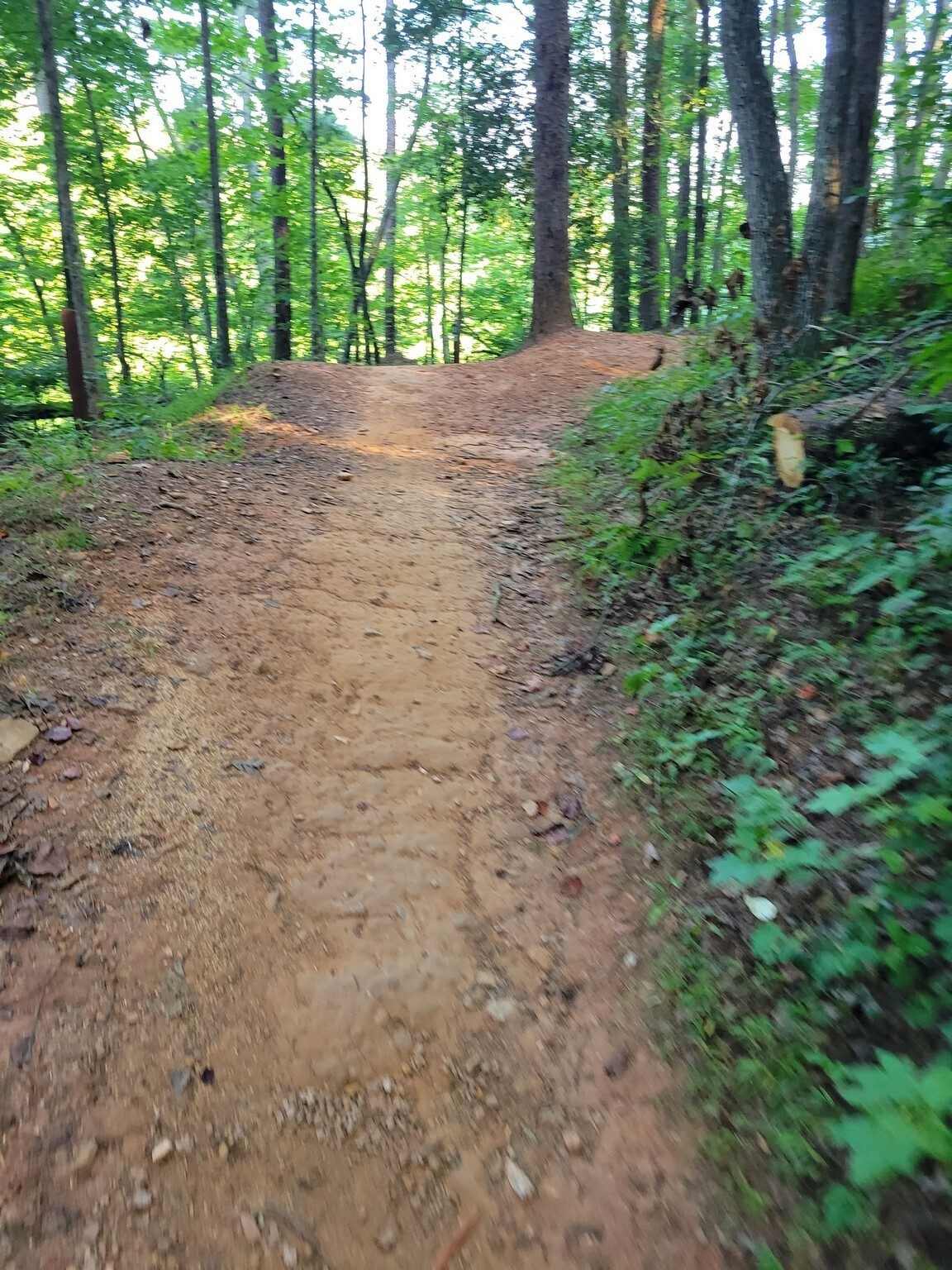Typical trail conditions.