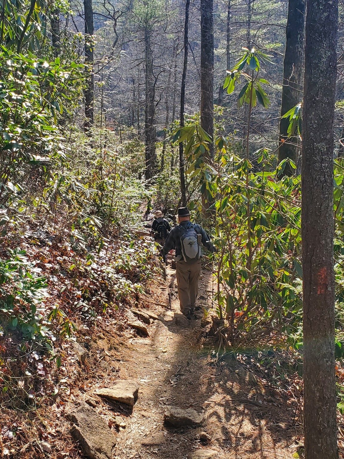 Trail condition off park boundaries on the way to Rainbow Falls.