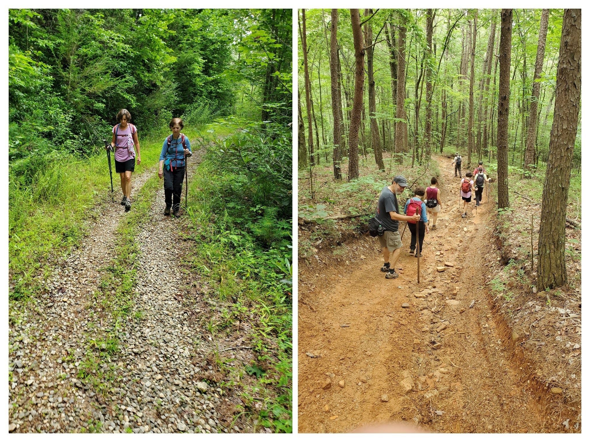 Headed back. Left: FS road; Right: ATV trail.