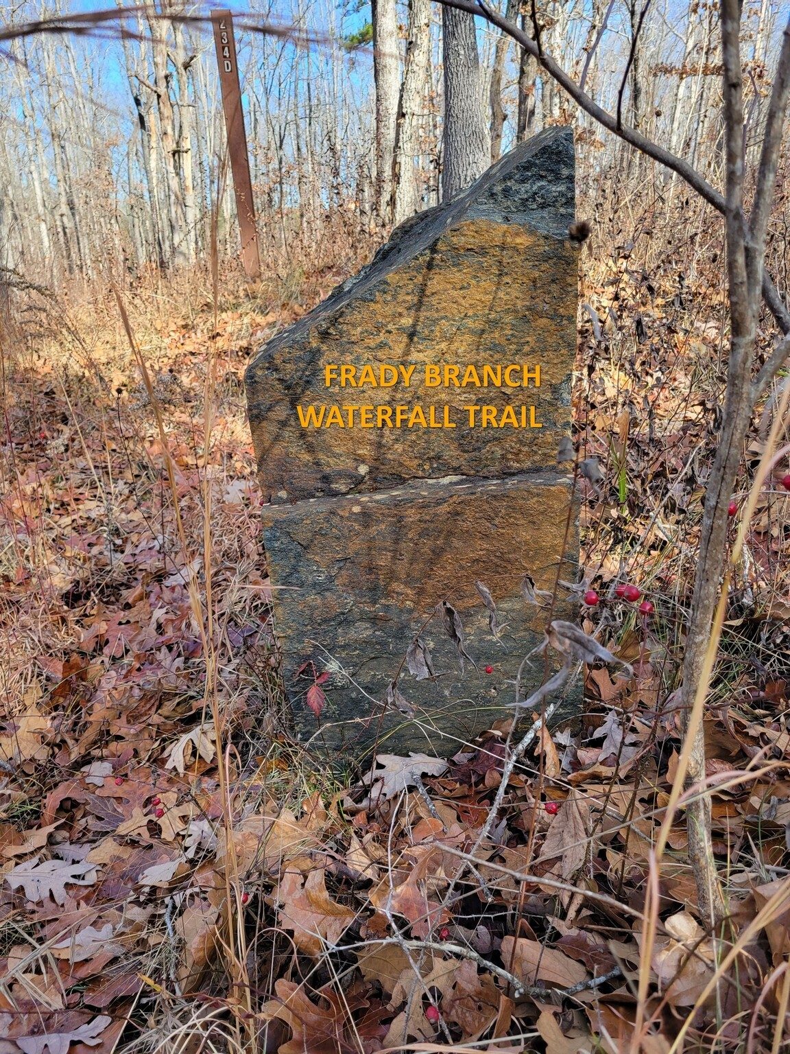 Hey, we were on the right trail!