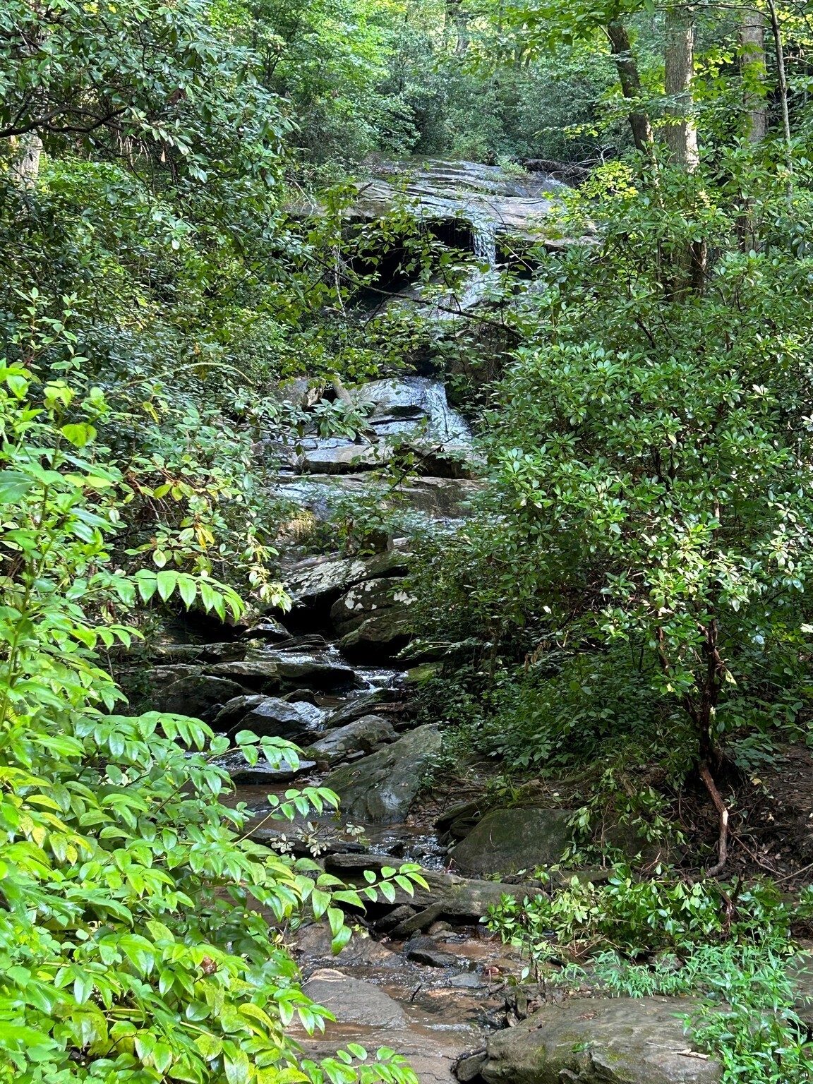 This cascade on Nancytown Creek is sometimes known as the Lower Nancytown Falls.