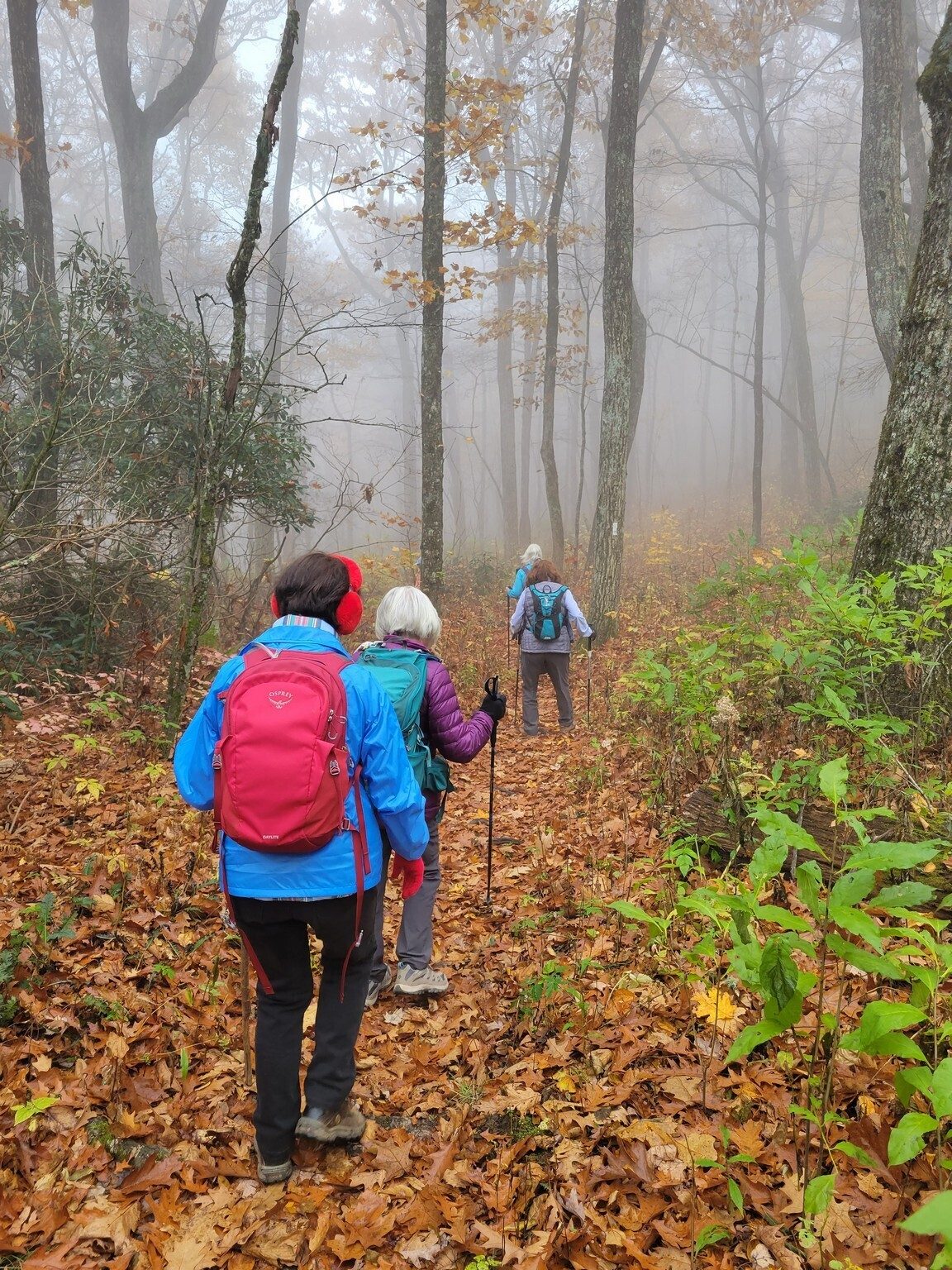 Off we go on the AT with very good trail conditions, although with a heavy litter of wet leaves throughout.