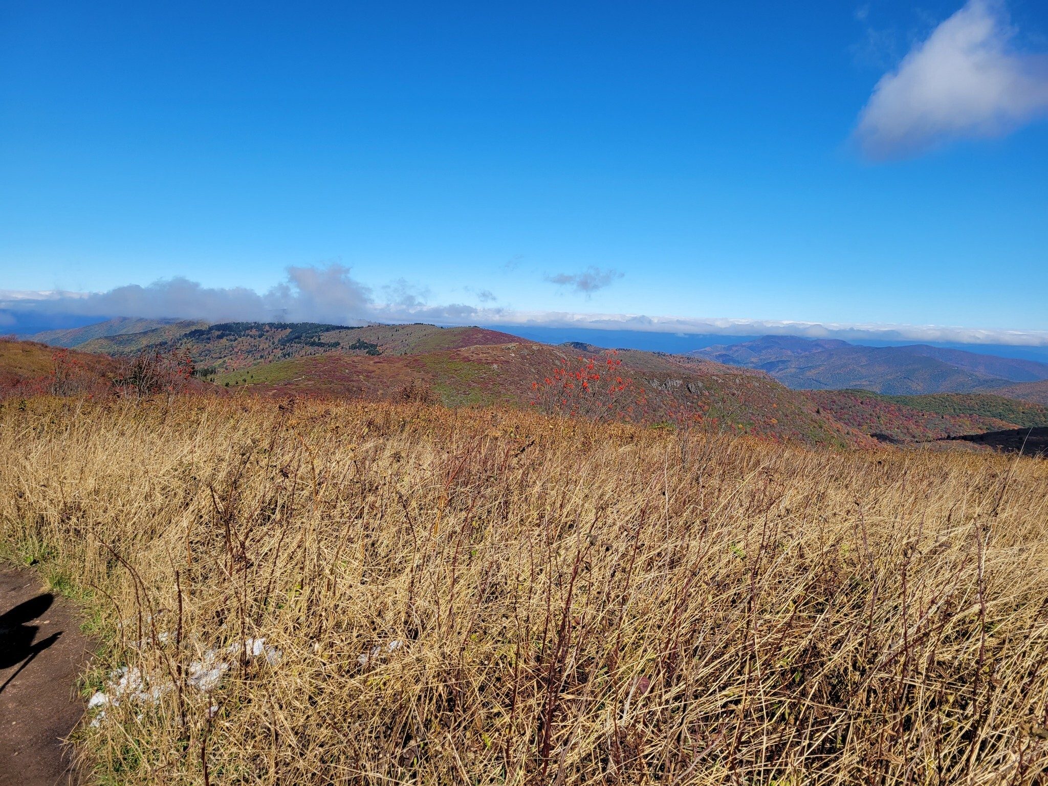 A view to the north and Tennent Mtn. as we take a short loop around Black Balsam and head to the finish..