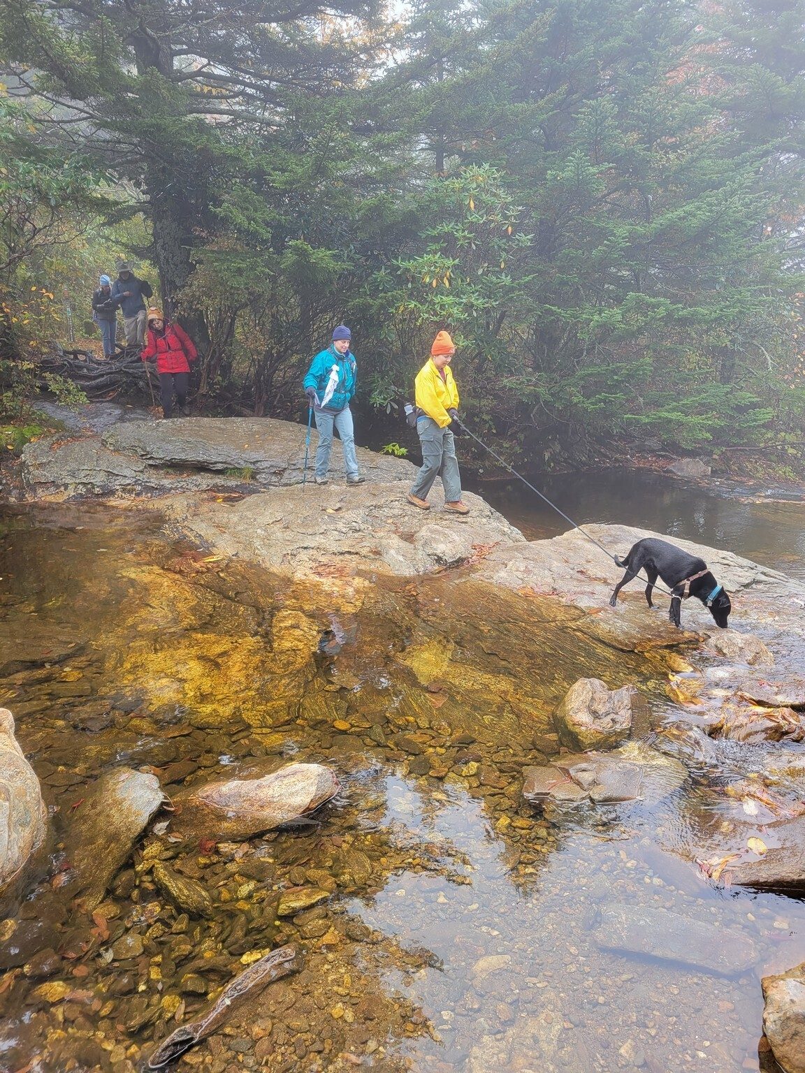 Crossing over Laurel Creek.