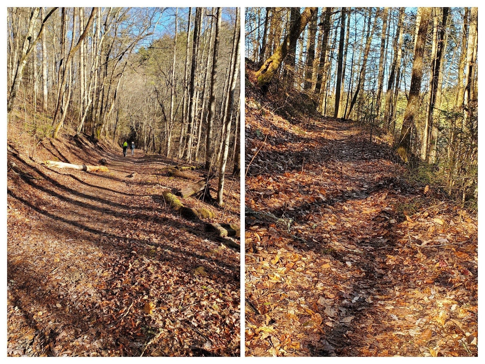 Trail condition photos . . . pretty good overall!
