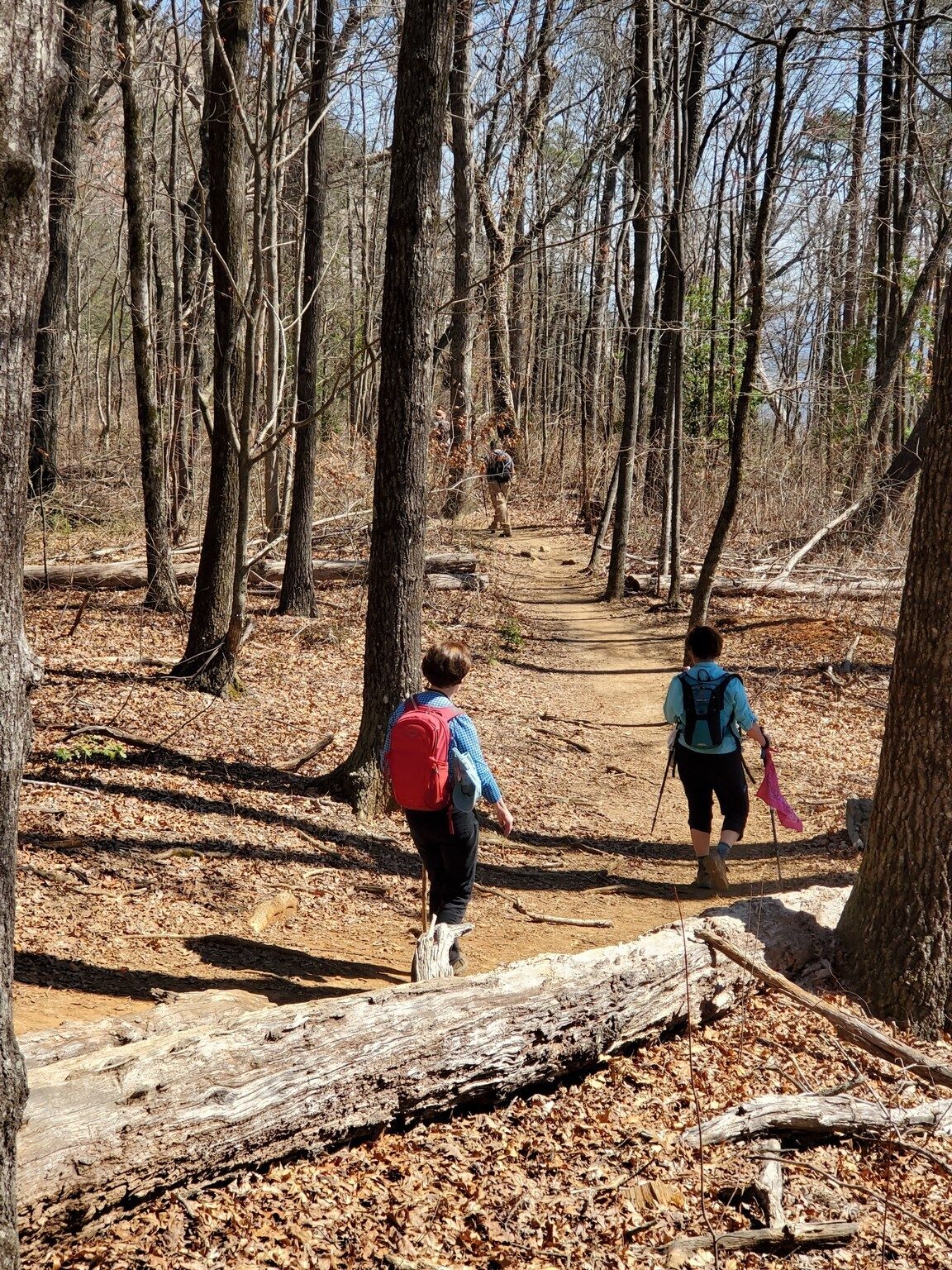 There were some short, level and not rocky sections of the trail.
