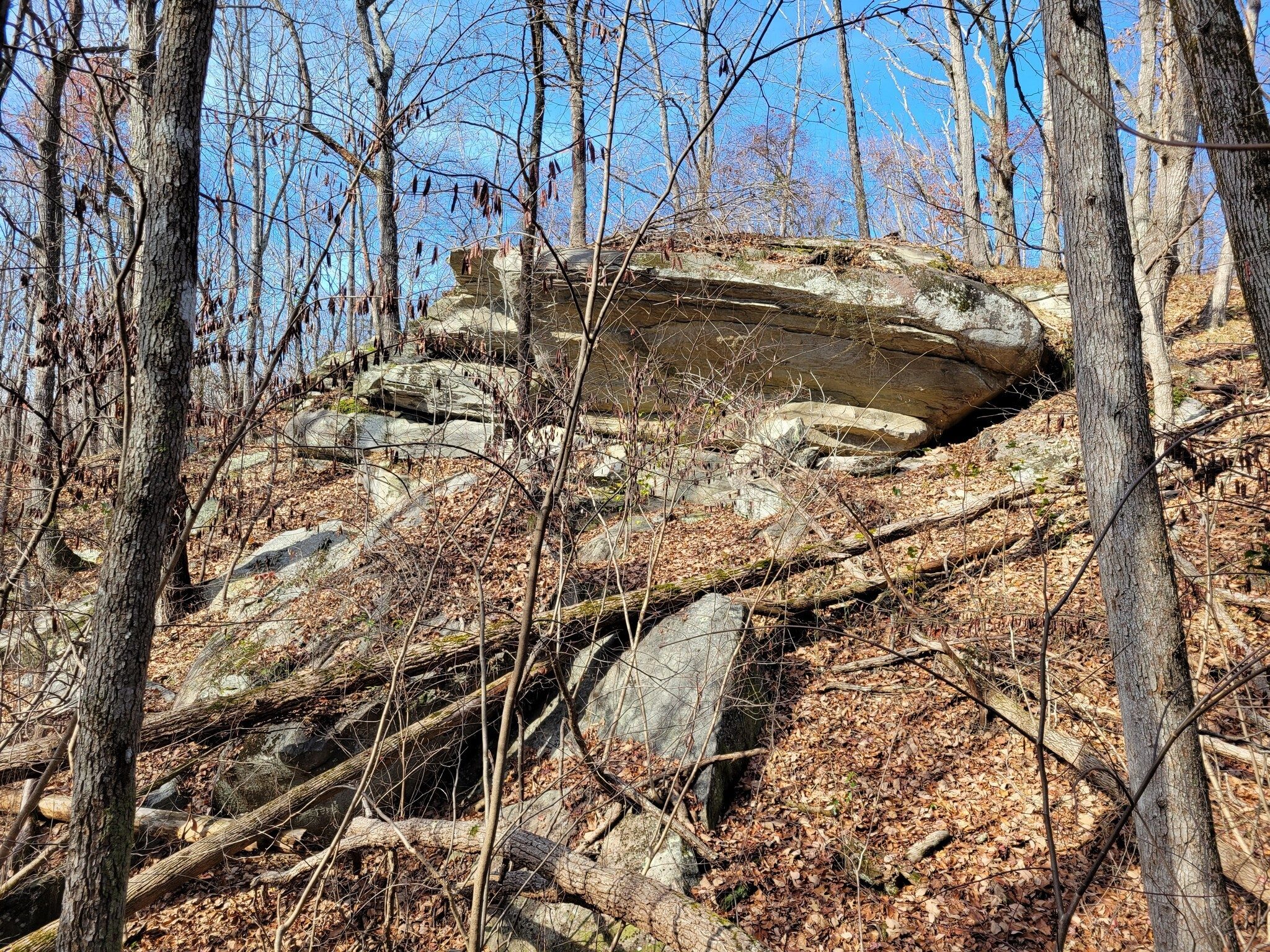 The "Dr. Bruce O'Connor Granite Outcrop."